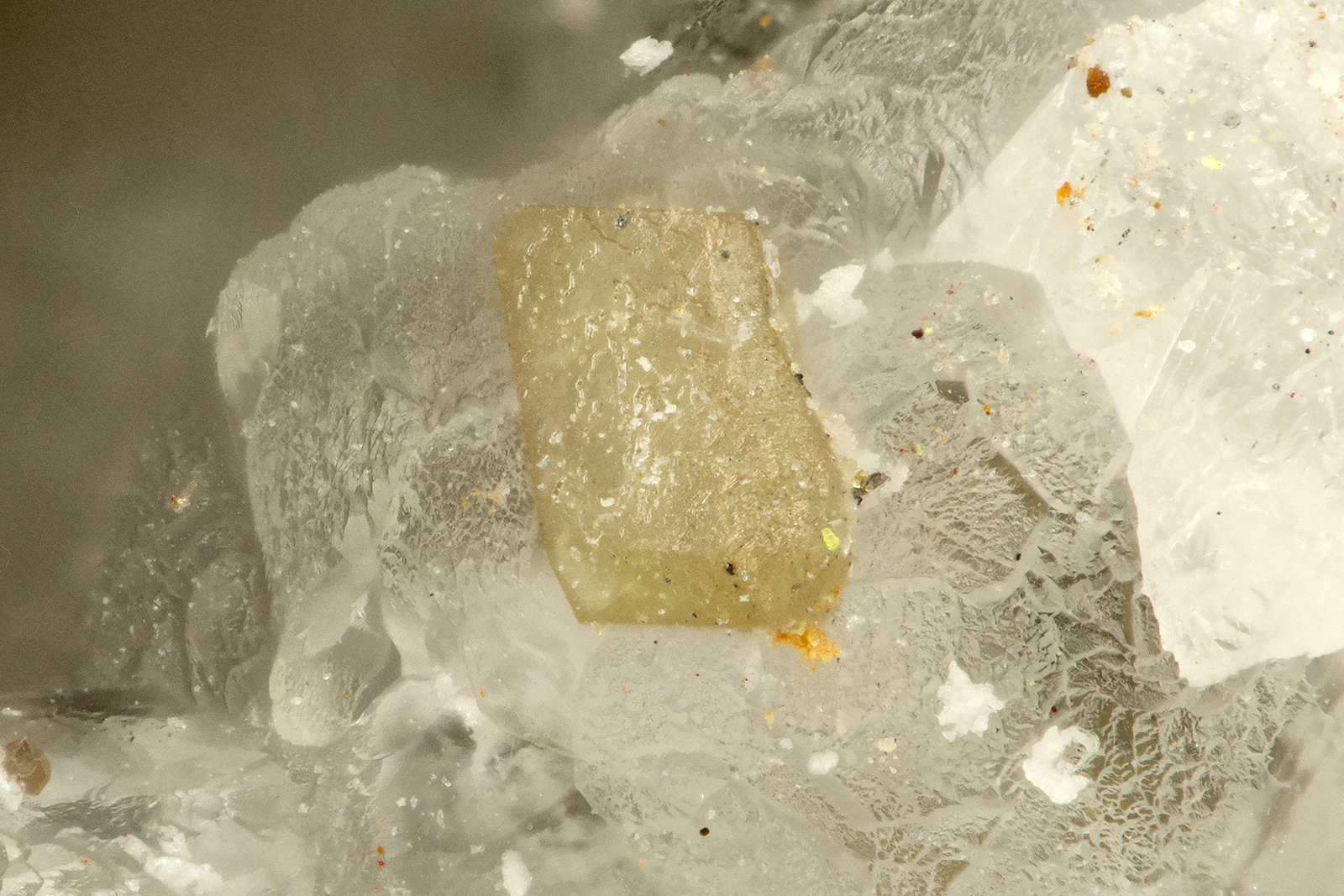 Chlorargyrite
FOV = 0.9 mm
(Autor: Doug)