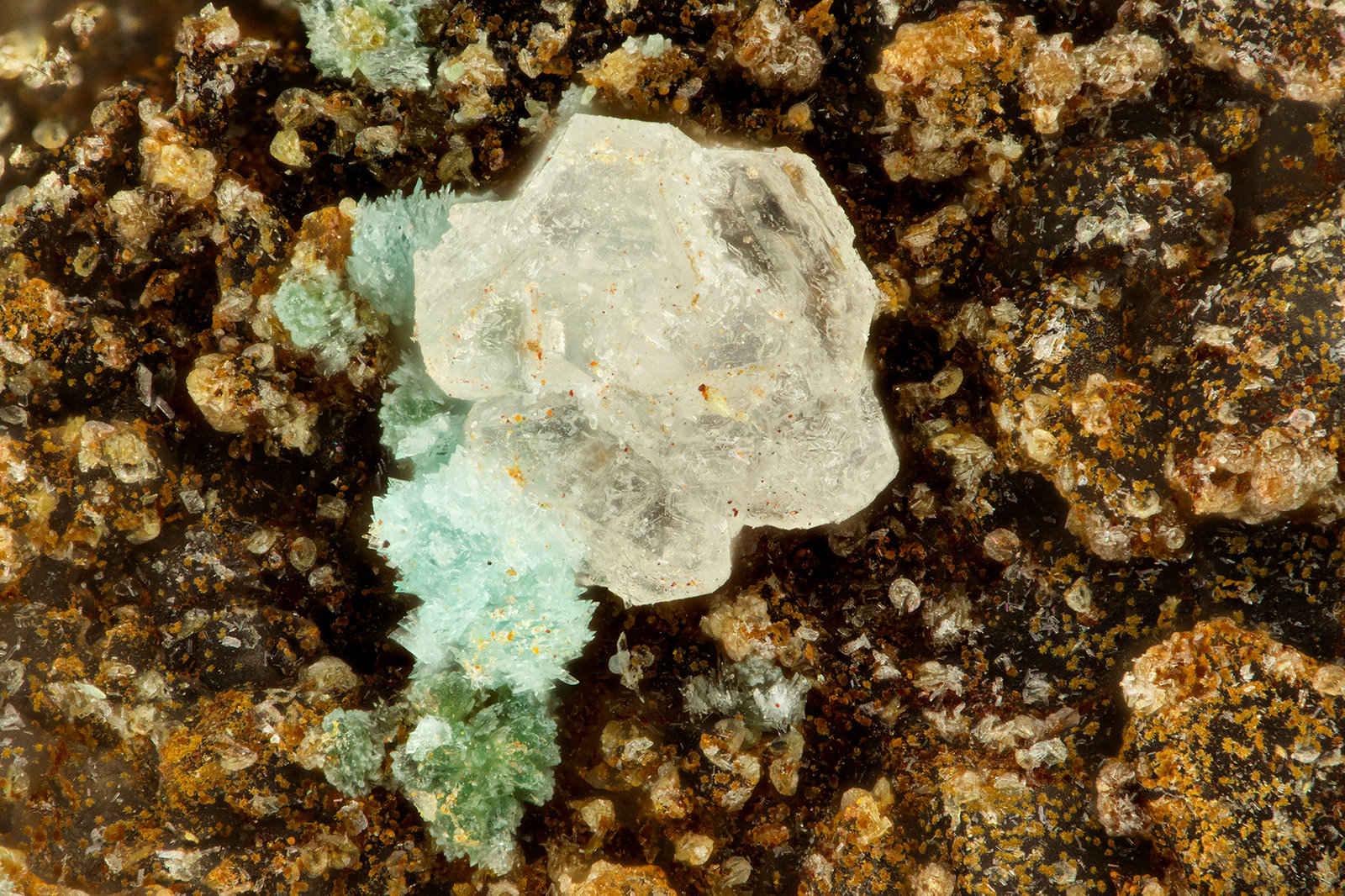 Variscite
FOV = 1.5 mm
(Autor: Doug)