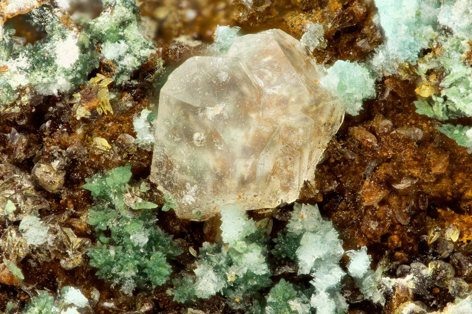 Variscite
FOV = 1.6 mm
(Autor: Doug)