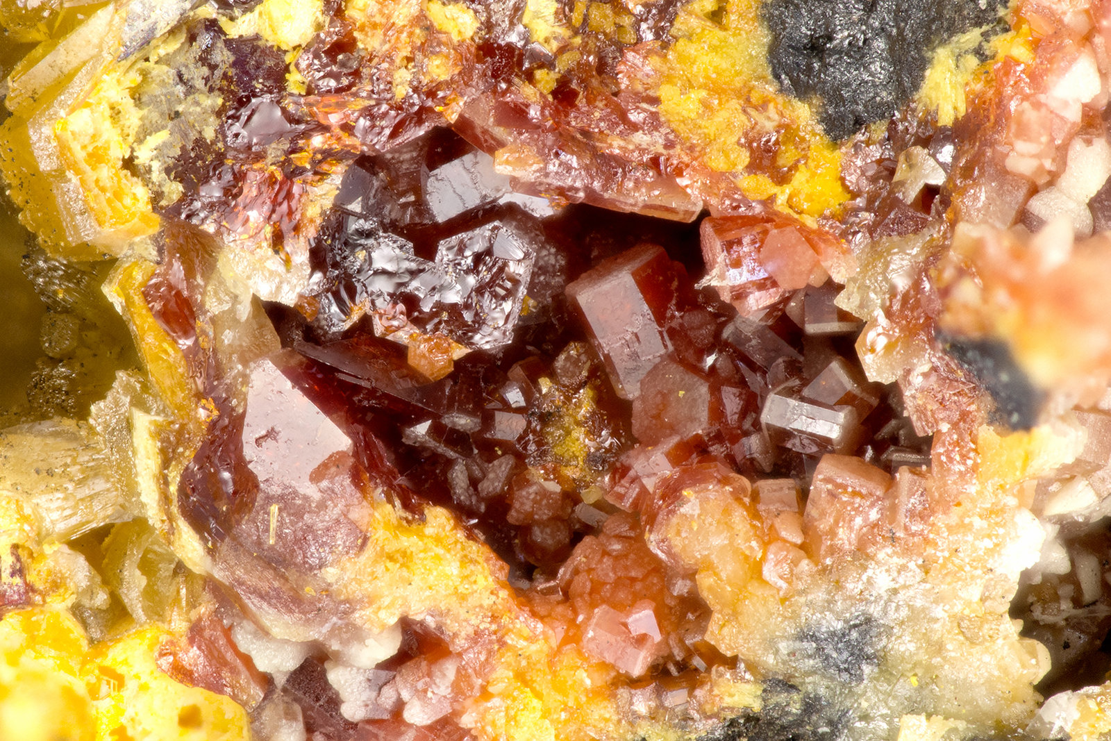 Vanadinite
FOV = 2.1 mm
(Autor: Doug)