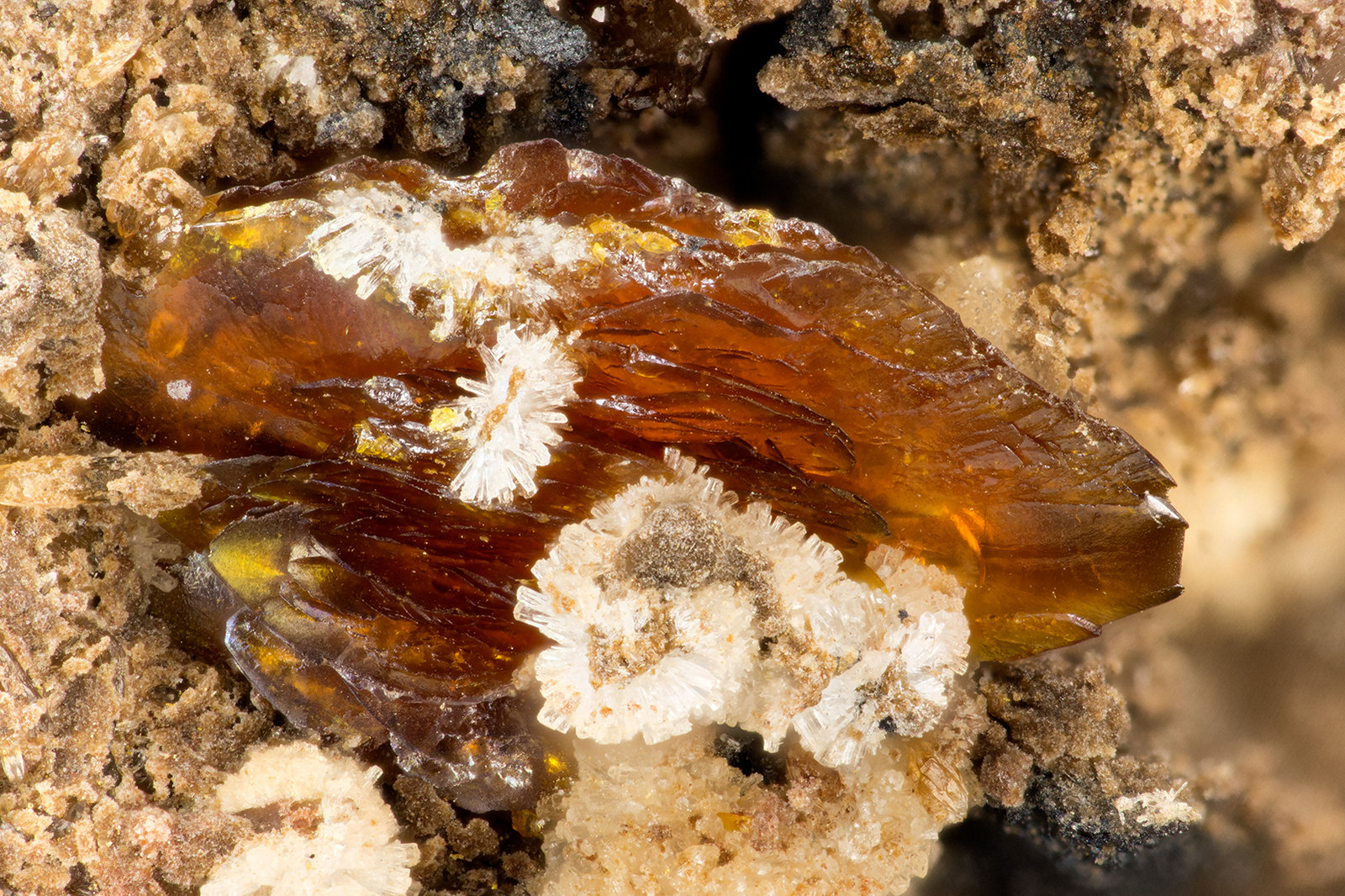 Descloizite
FOV = 3.0 mm
(Autor: Doug)
