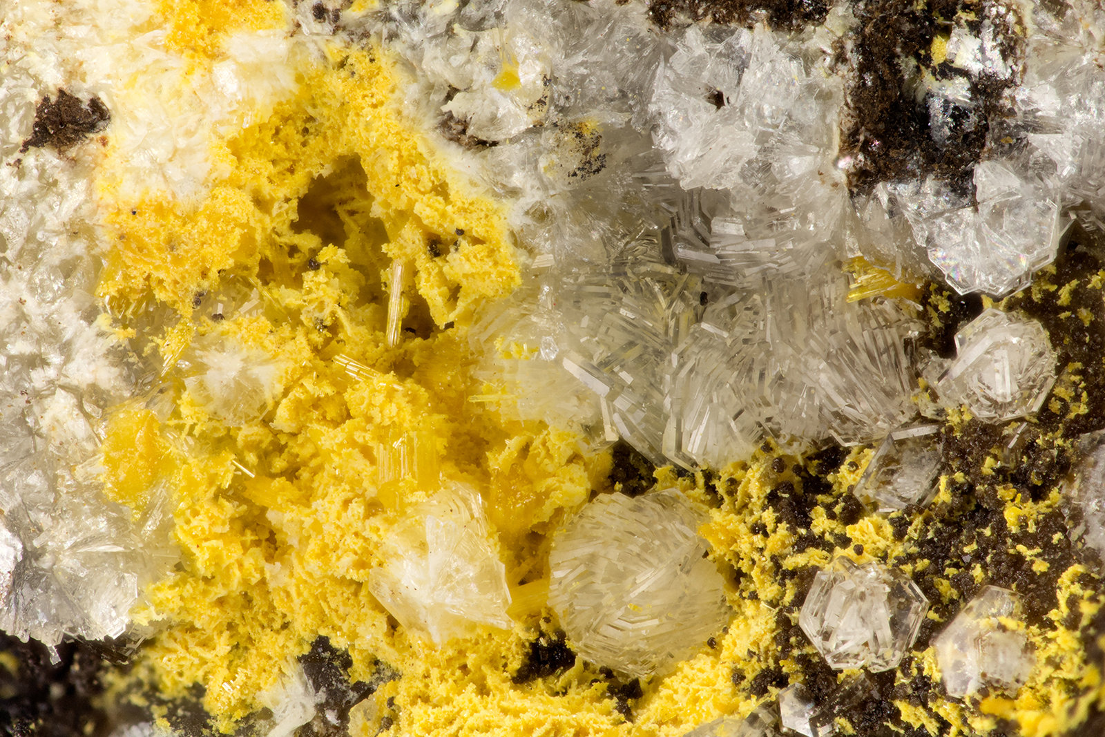 Wickenburgite Mimitite
FOV = 3.3 mm
(Autor: Doug)