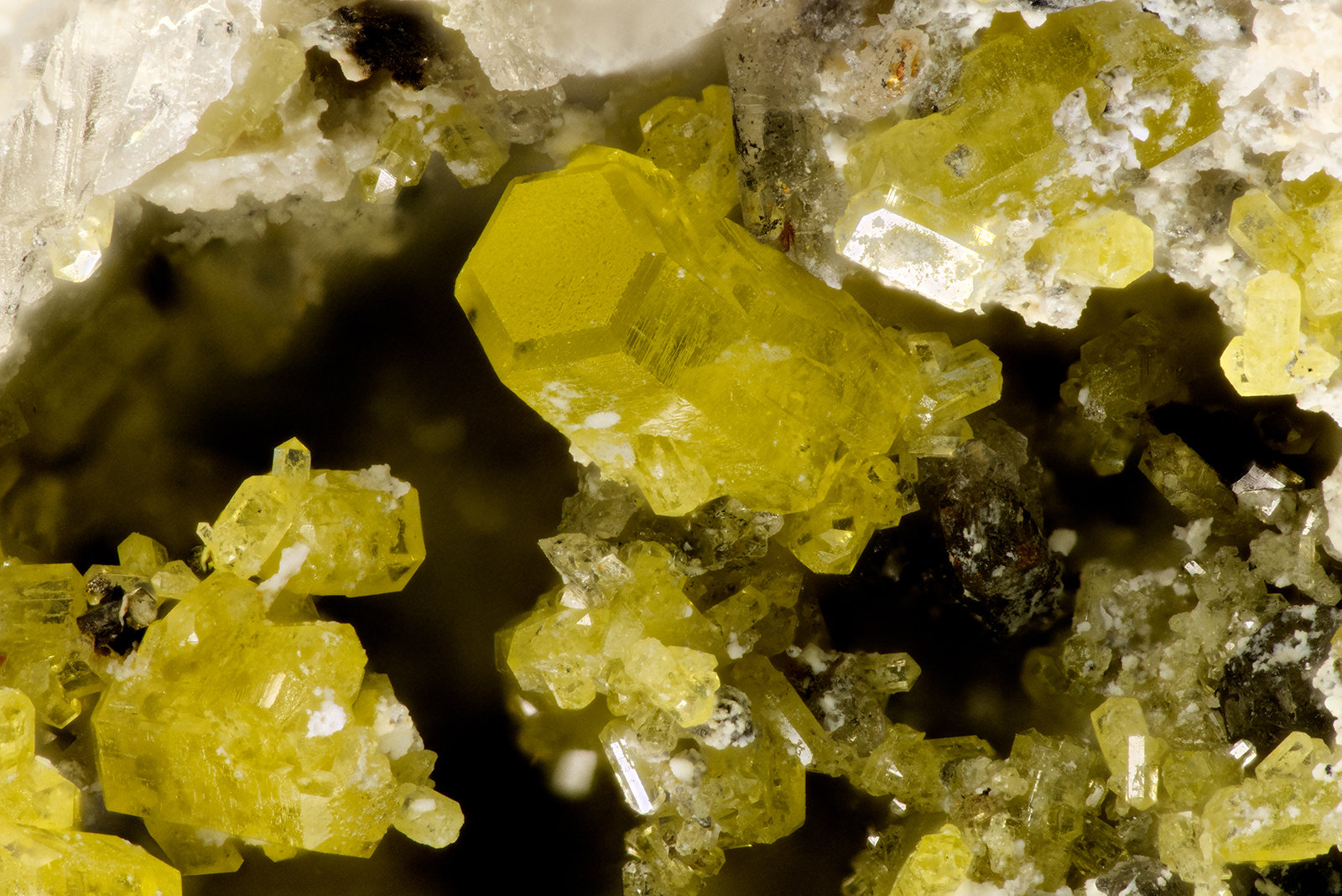Mimetite
FOV = 2.9 mm
(Autor: Doug)