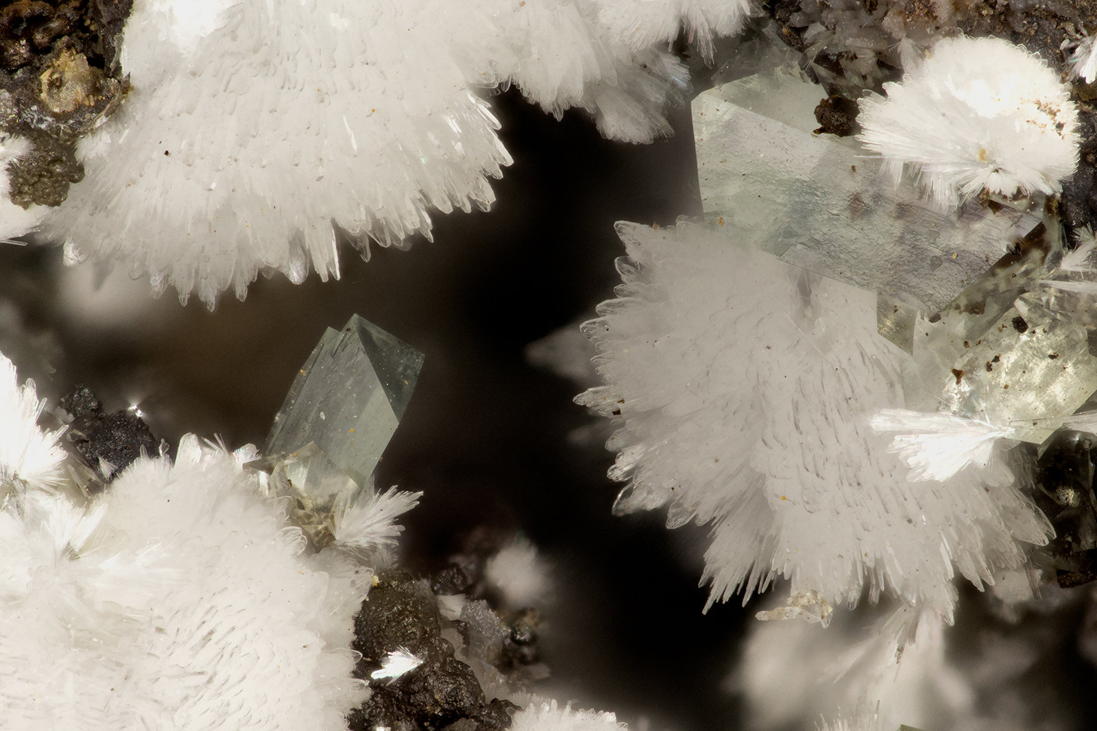 Hemimorphite, Adamite
FOV = 2.8 mm
(Autor: Doug)