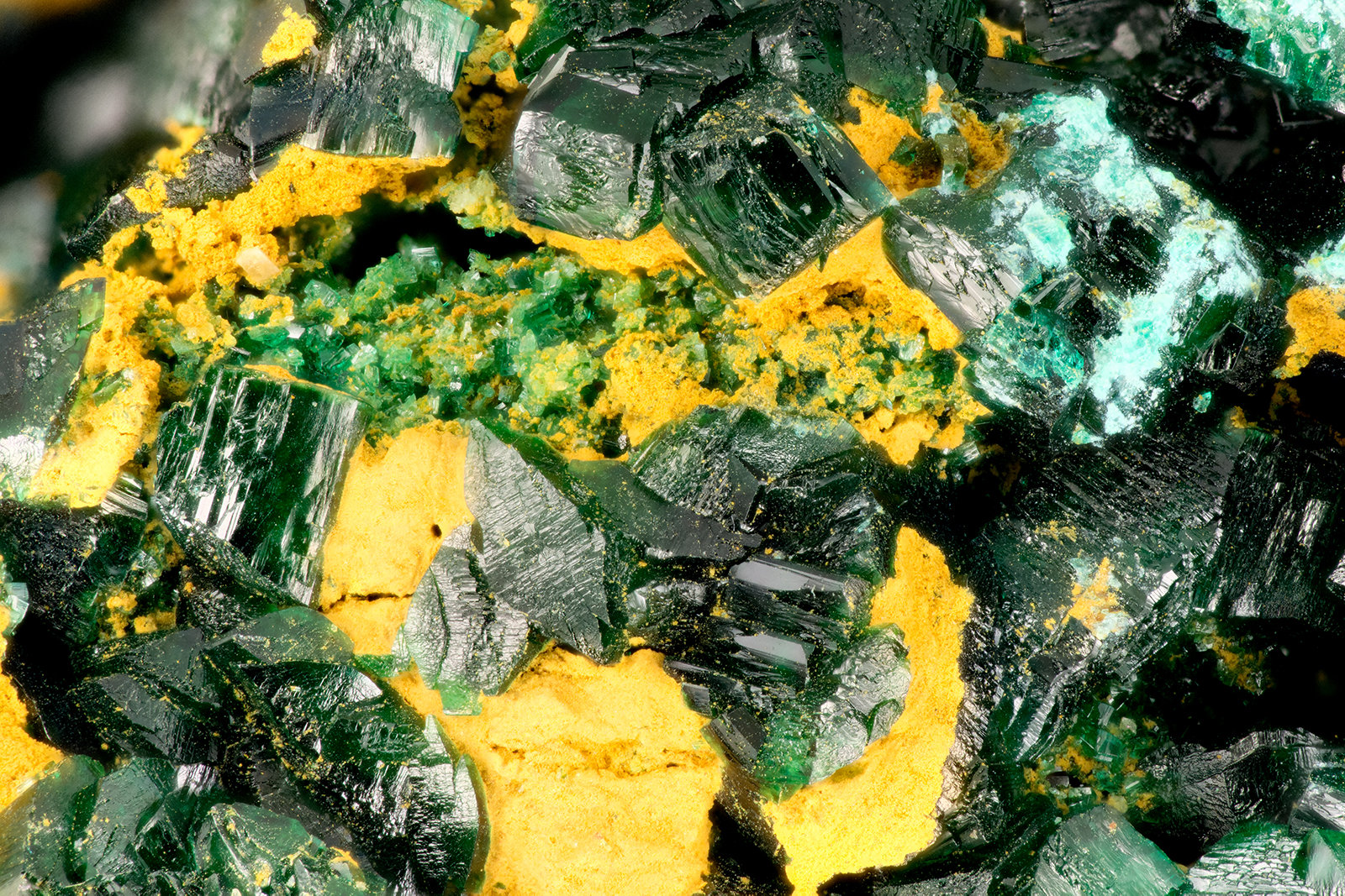 Brochantite
FOV = 3.2 mm
(Autor: Doug)