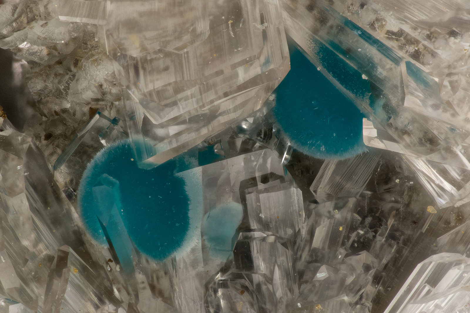 Rosasite Hemimorphite
FOV = 3.1 mm
(Autor: Doug)