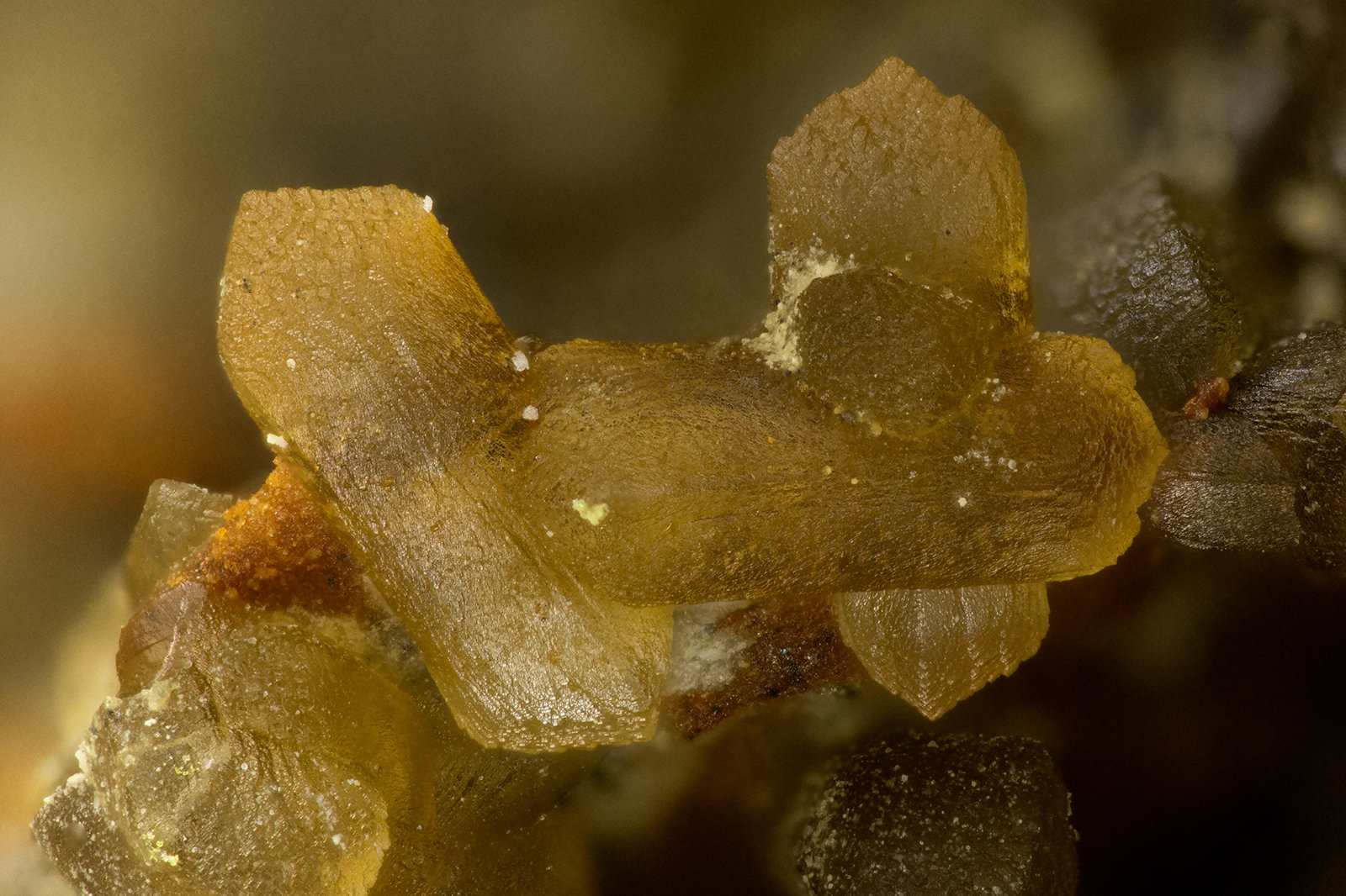 Siderite
FOV = 2.9 mm
(Autor: Doug)