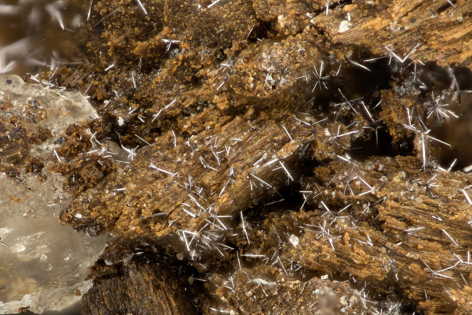 Selenium
FOV = 1.3 mm
(Autor: Doug)