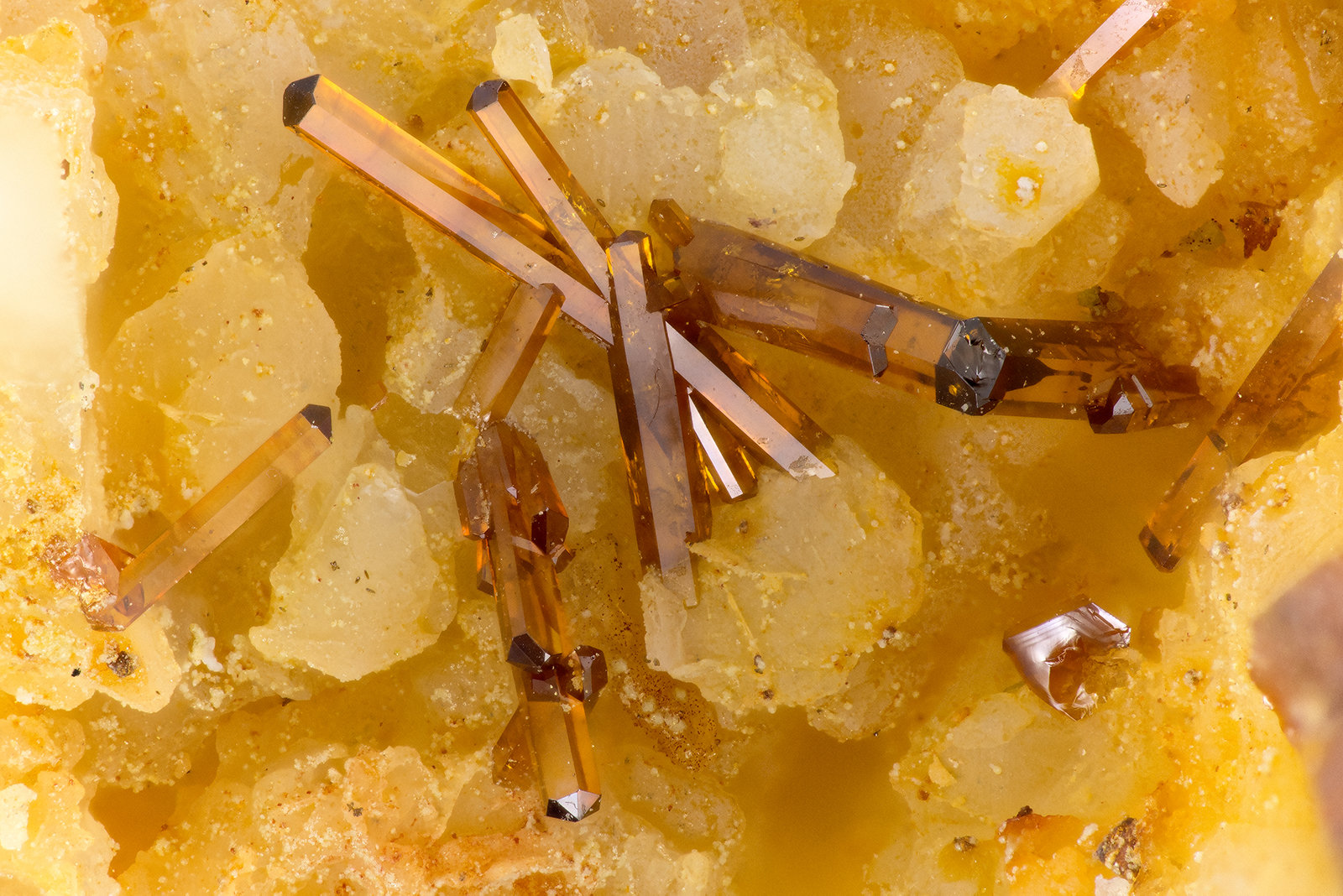 Vanadinite
FOV = 3.2 mm
(Autor: Doug)