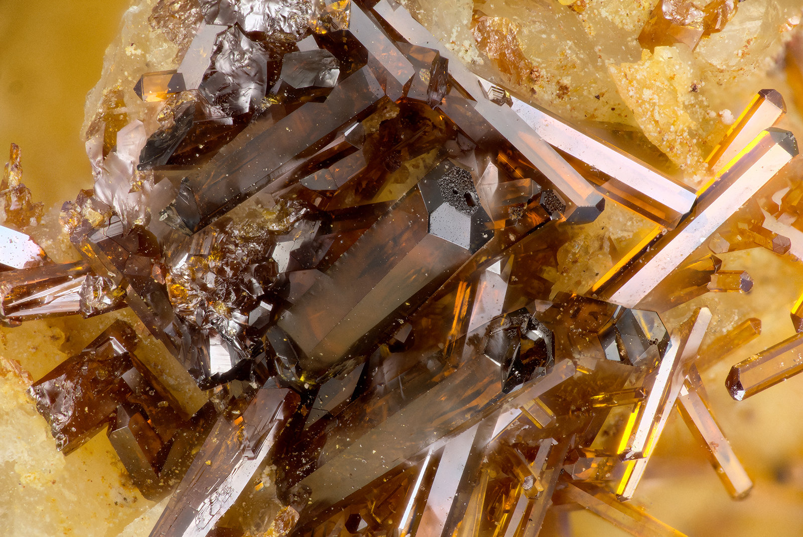 Vanadinite
FOV = 3.7 mm
(Autor: Doug)