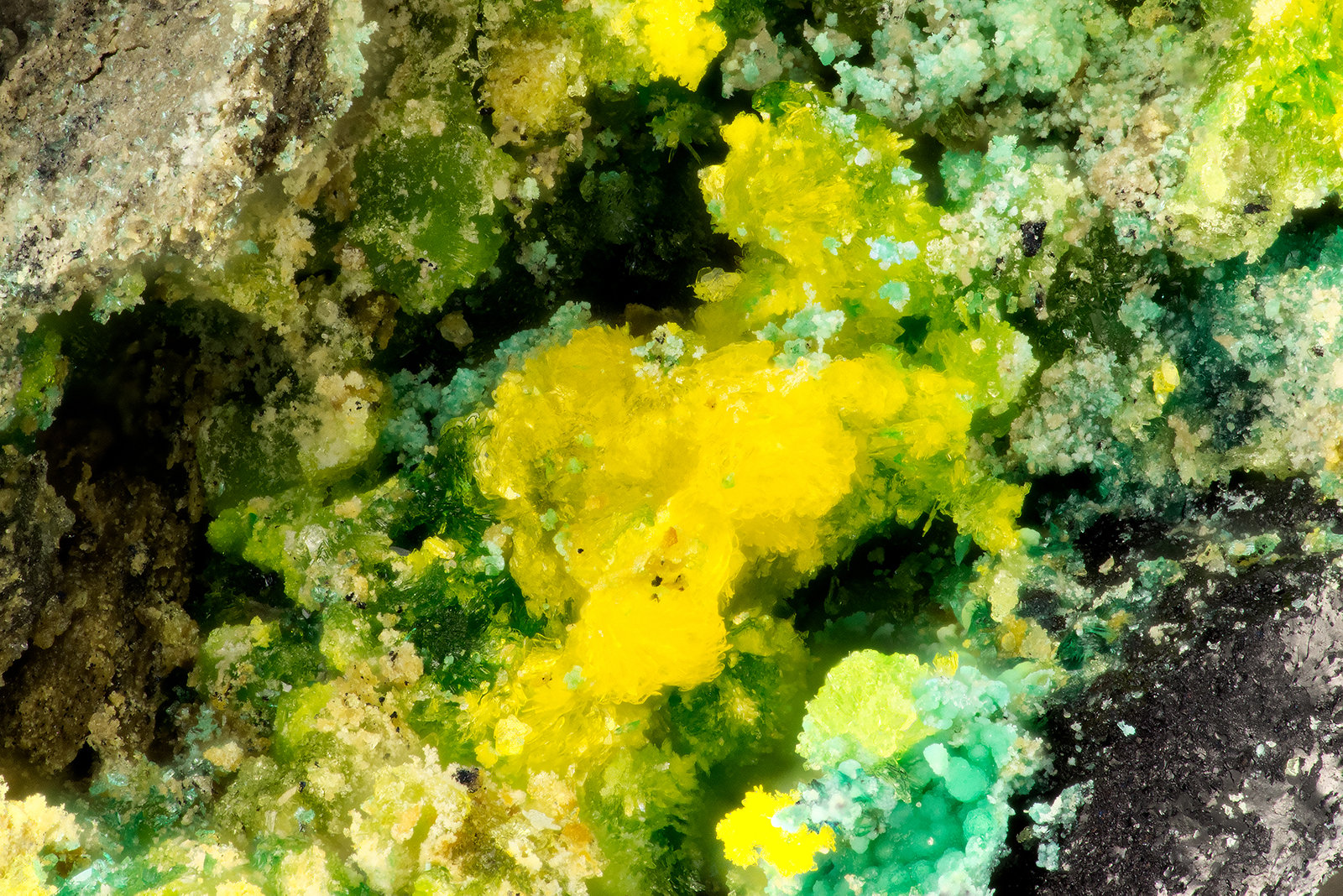 Natrozippeite
FOV = 2.5 mm
(Autor: Doug)