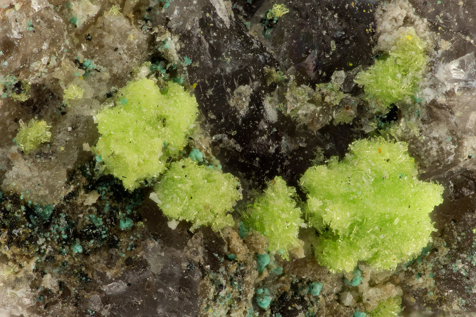 Pseudojohnite
FOV = 2.9 mm
(Autor: Doug)