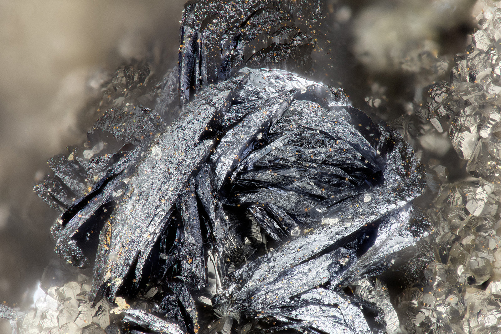 Chalcophanite
FOV = 1.7 mm
(Autor: Doug)