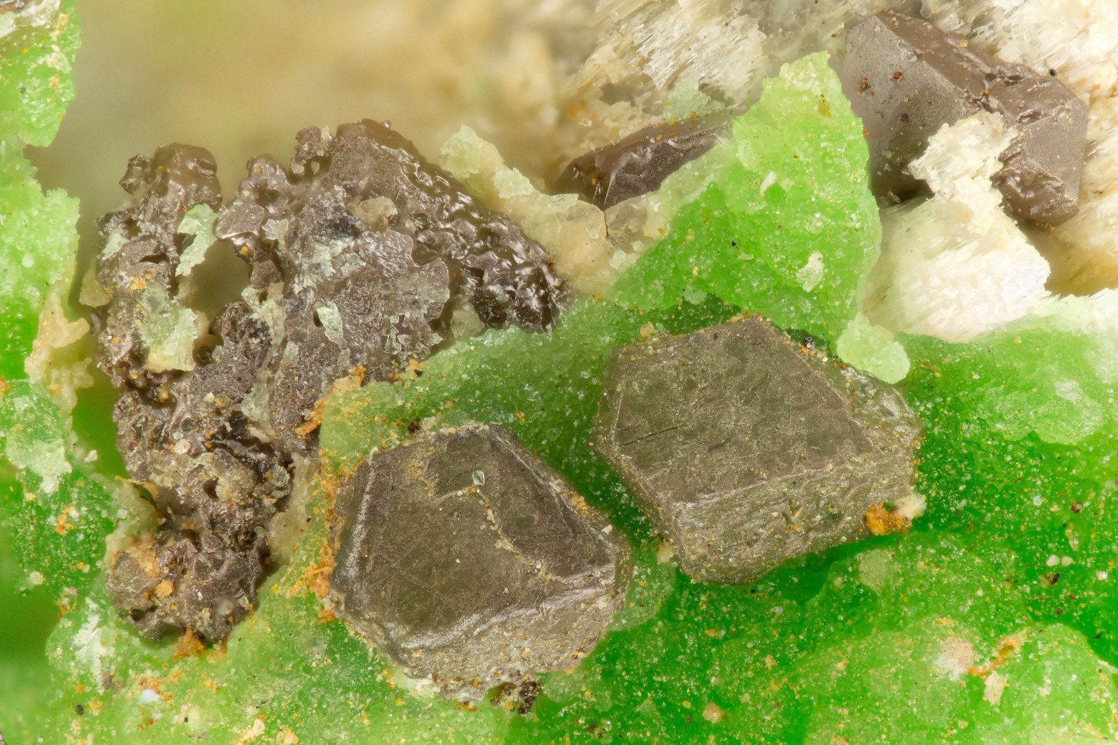 Chlorargyrite Conichalcite
FOV = 1.5 mm
(Autor: Doug)