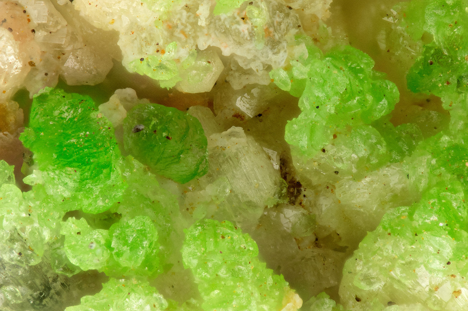 Conichalcite
FOV = 1.3 mm
(Autor: Doug)