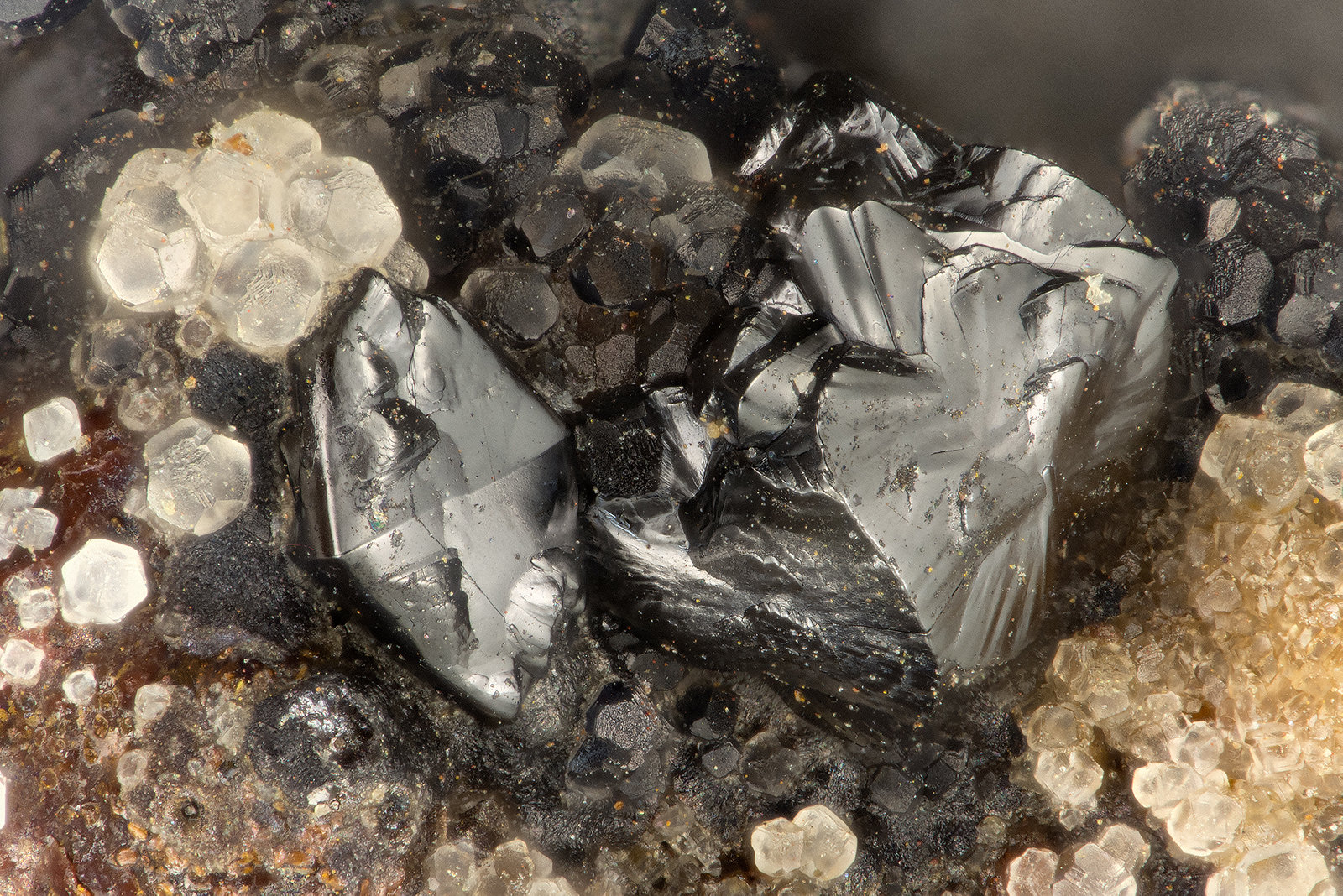 Hetaerolite
FOV = 1.3 mm
(Autor: Doug)