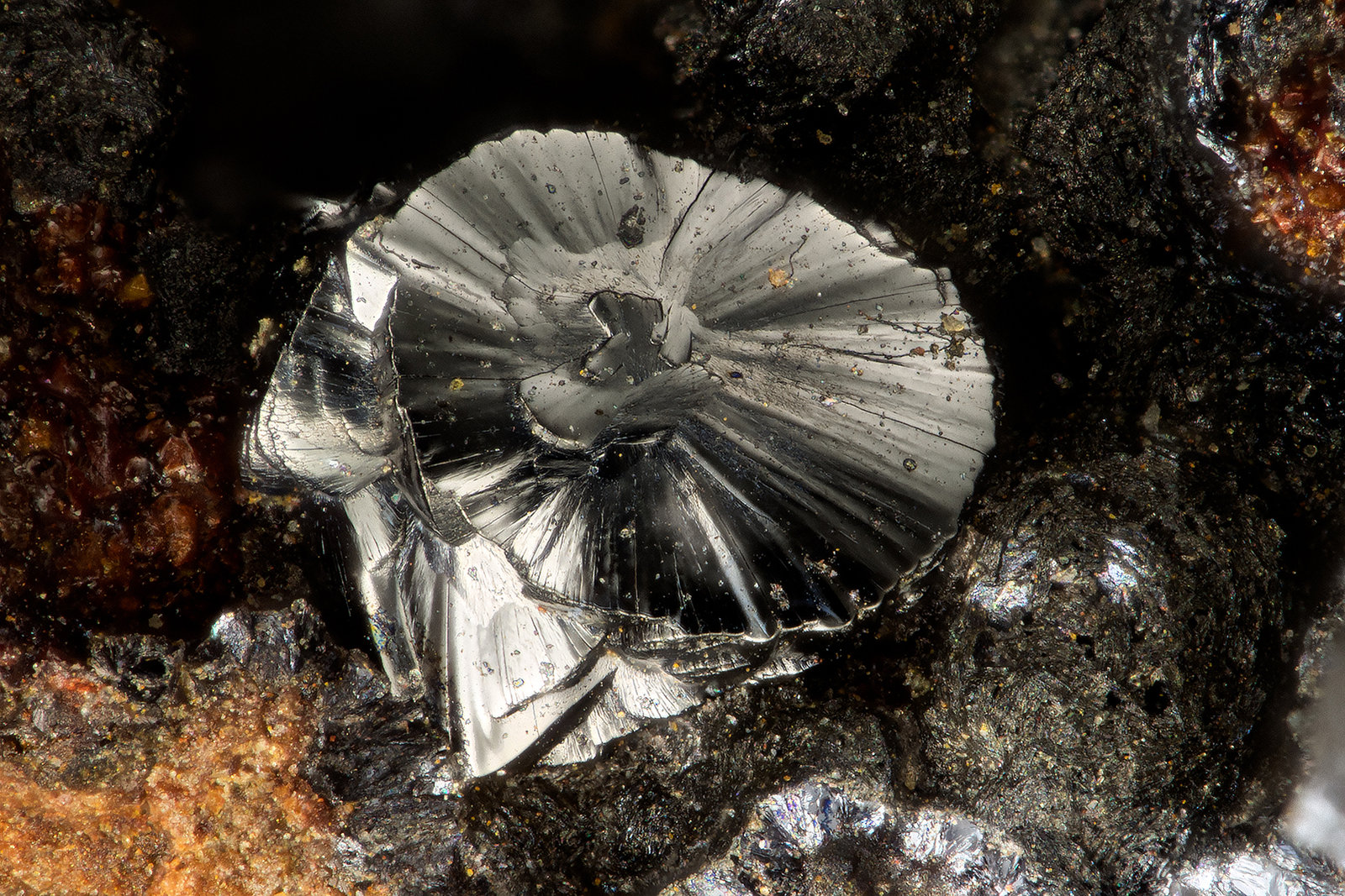 Hetaerolite
FOV = 1.0 mm
(Autor: Doug)