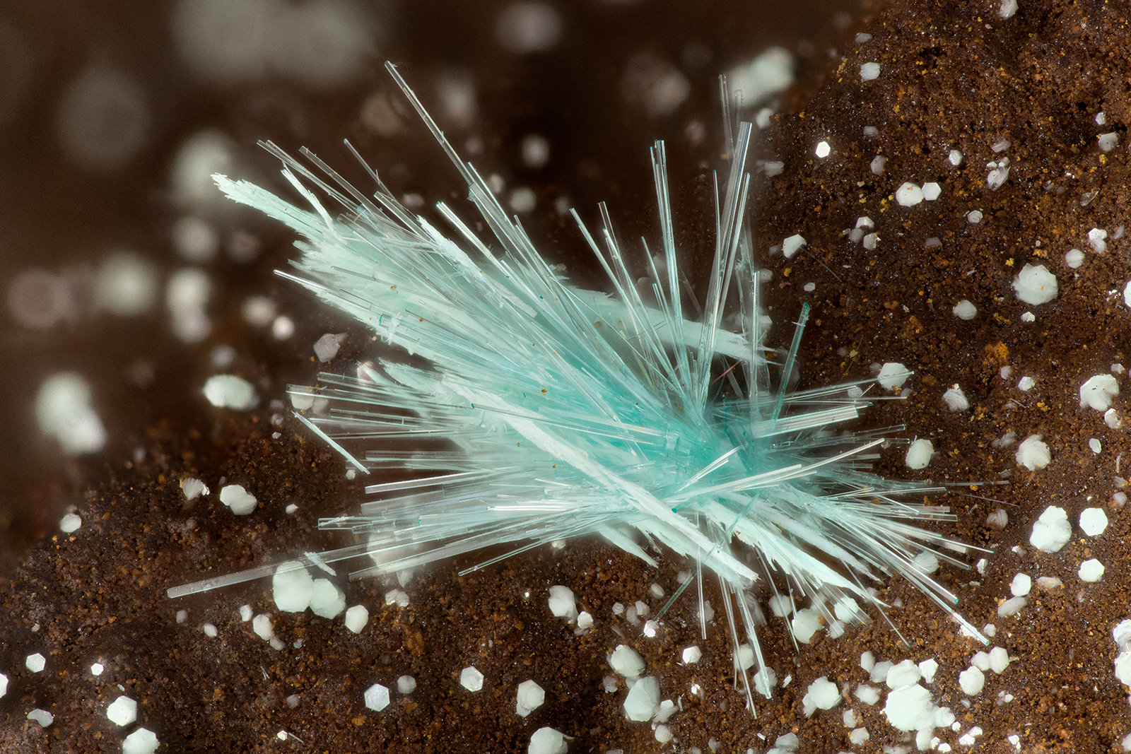 Aurichalcite Fraipontite
FOV = 3.2 mm
(Autor: Doug)