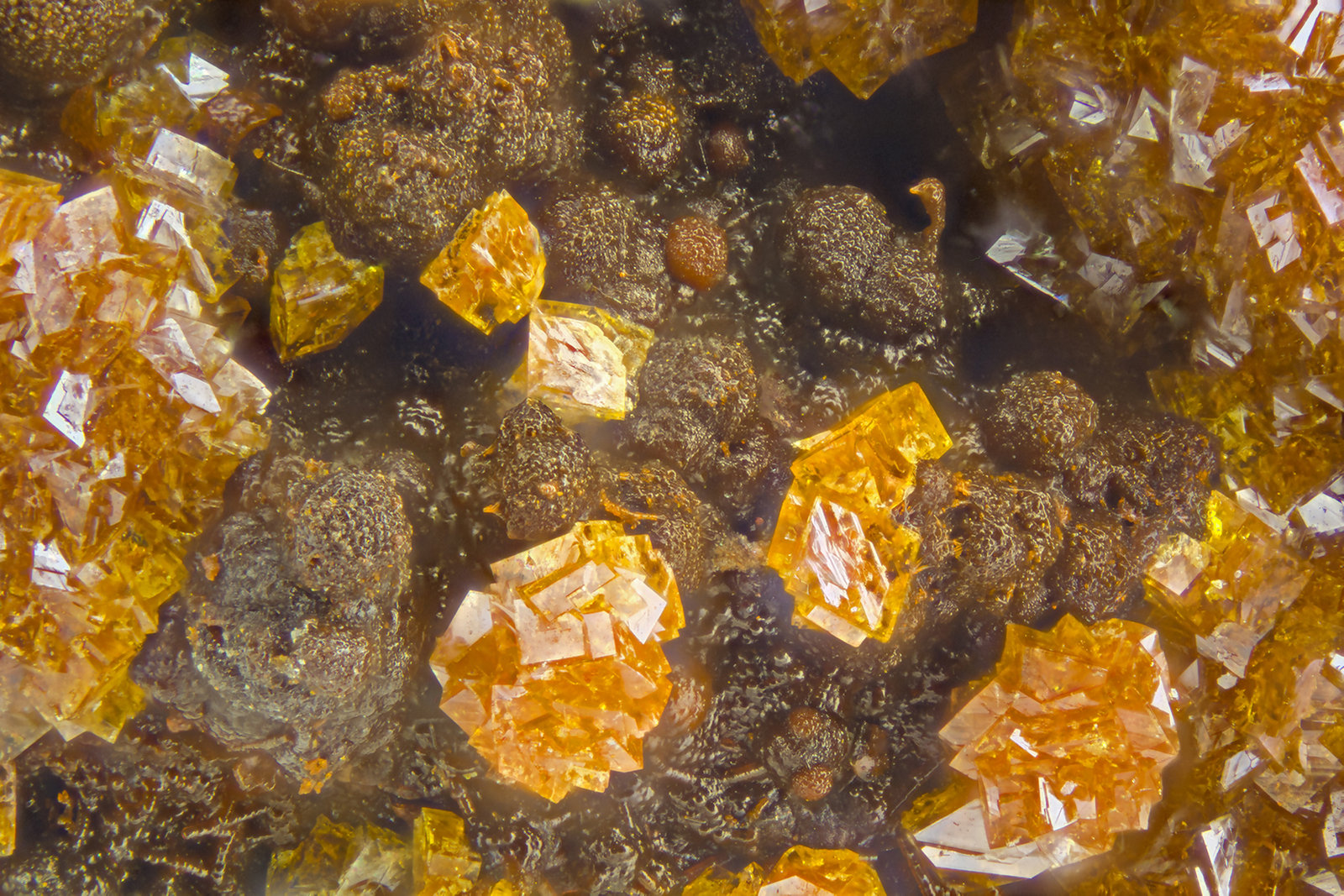 Natrojarosite
FOV = 2.0 mm
(Autor: Doug)