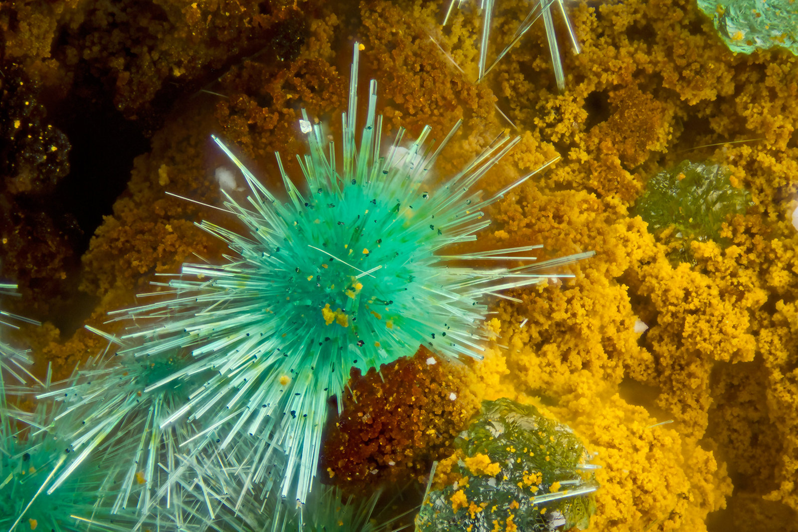 Agardite-(La)
FOV = 2.0 mm
(Autor: Doug)