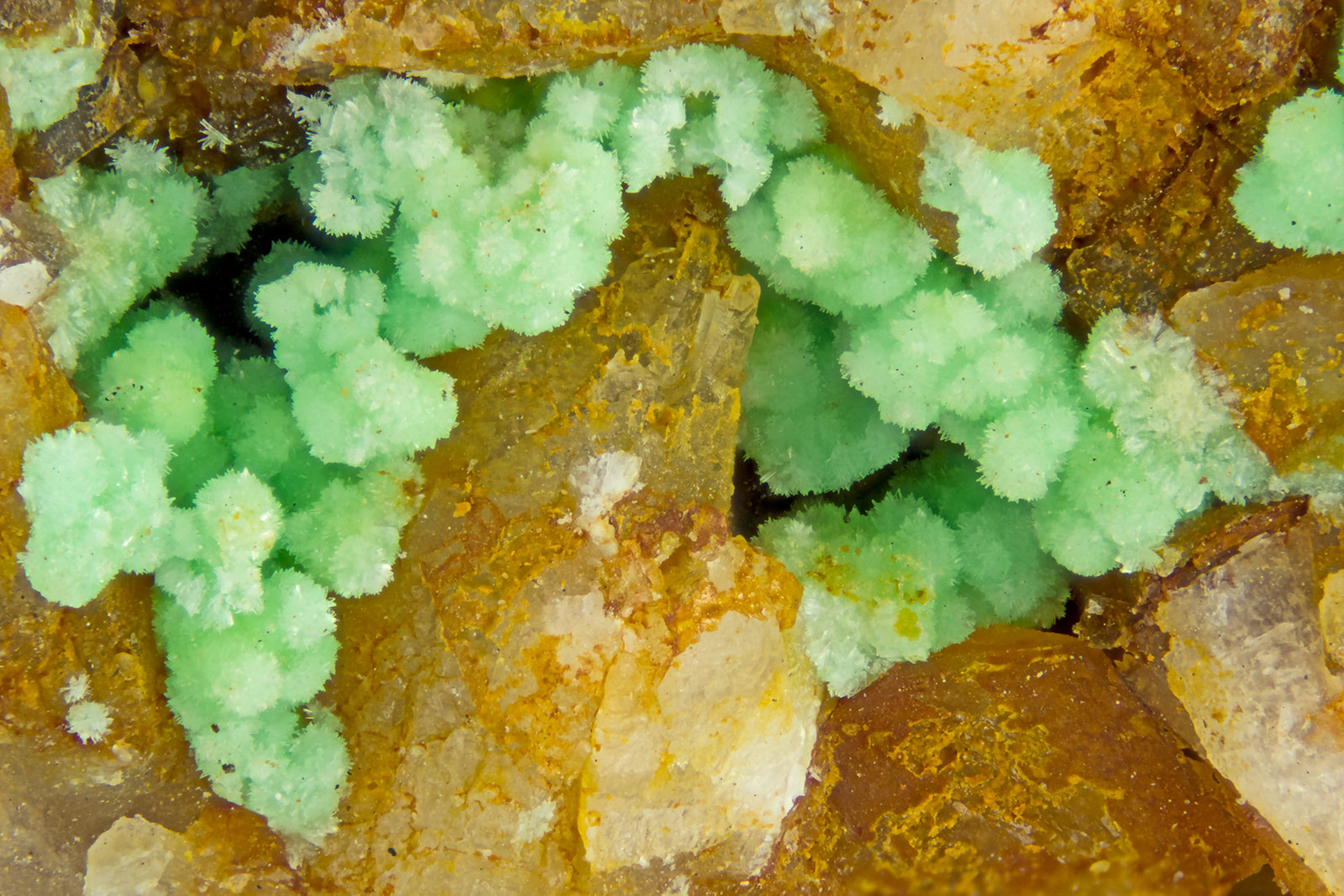 Annabergite
FOV = 4.0 mm
(Autor: Doug)
