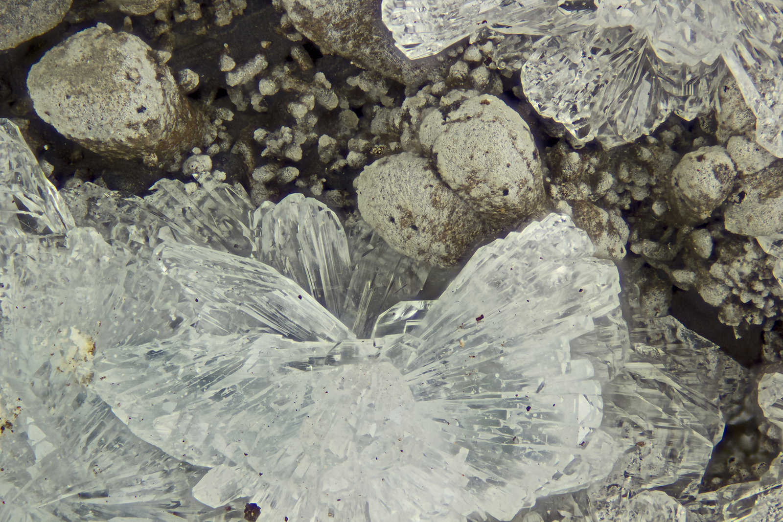 Hemimorphite
FOV = 4.0 mm
(Autor: Doug)