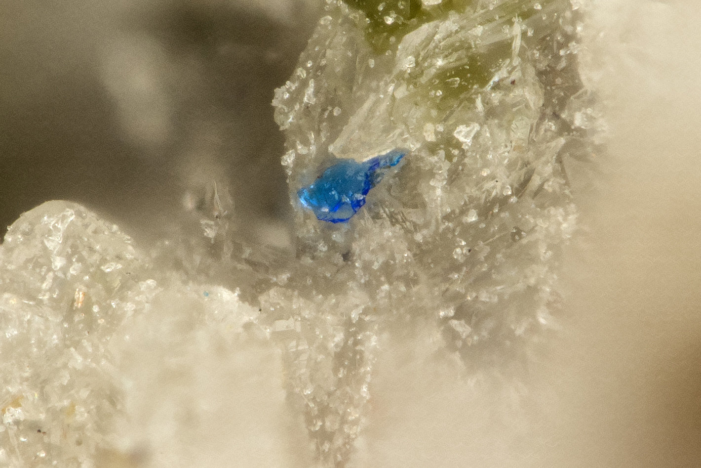 Cuprorivaite
FOV = 0.5 mm
(Autor: Doug)