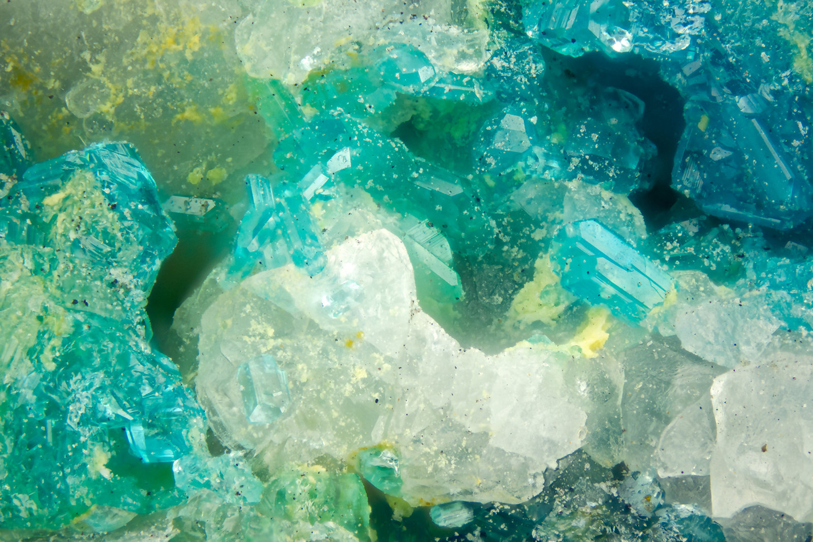 Caledonite
FOV = 2.0 mm
(Autor: Doug)