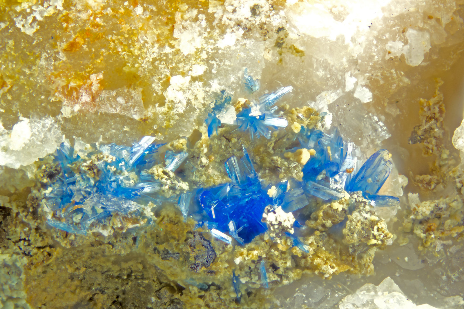 Linarite
FOV = 2.0 mm
(Autor: Doug)