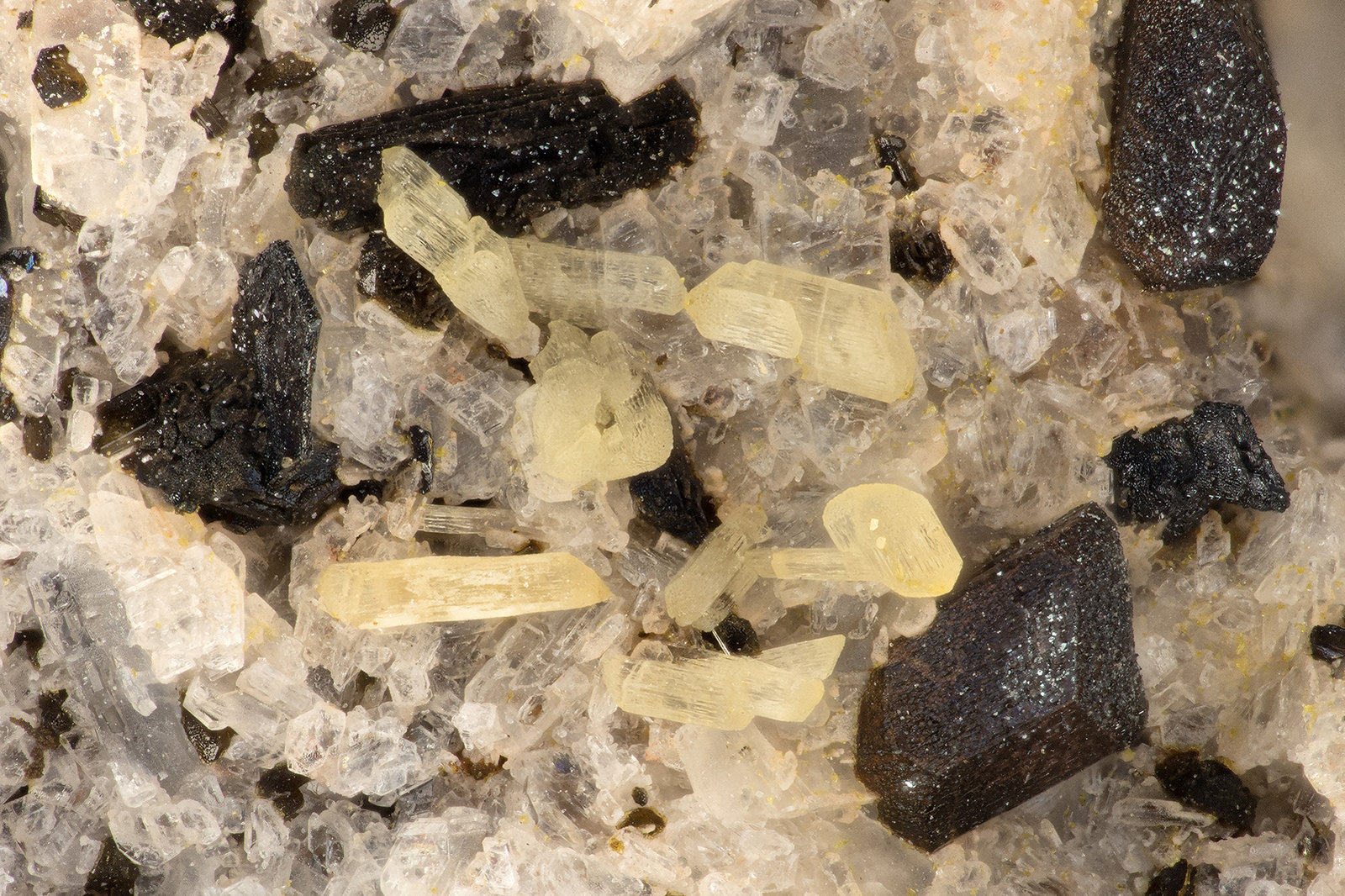 Aegirine with Ilmenite
FOV = 2.9 mm
(Autor: Doug)