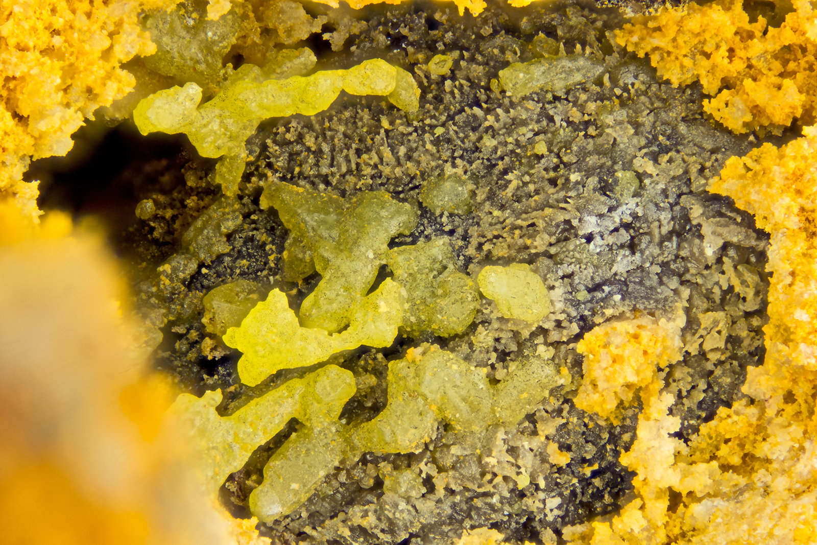 Bromargyrite
FOV = 4.0 mm
(Autor: Doug)