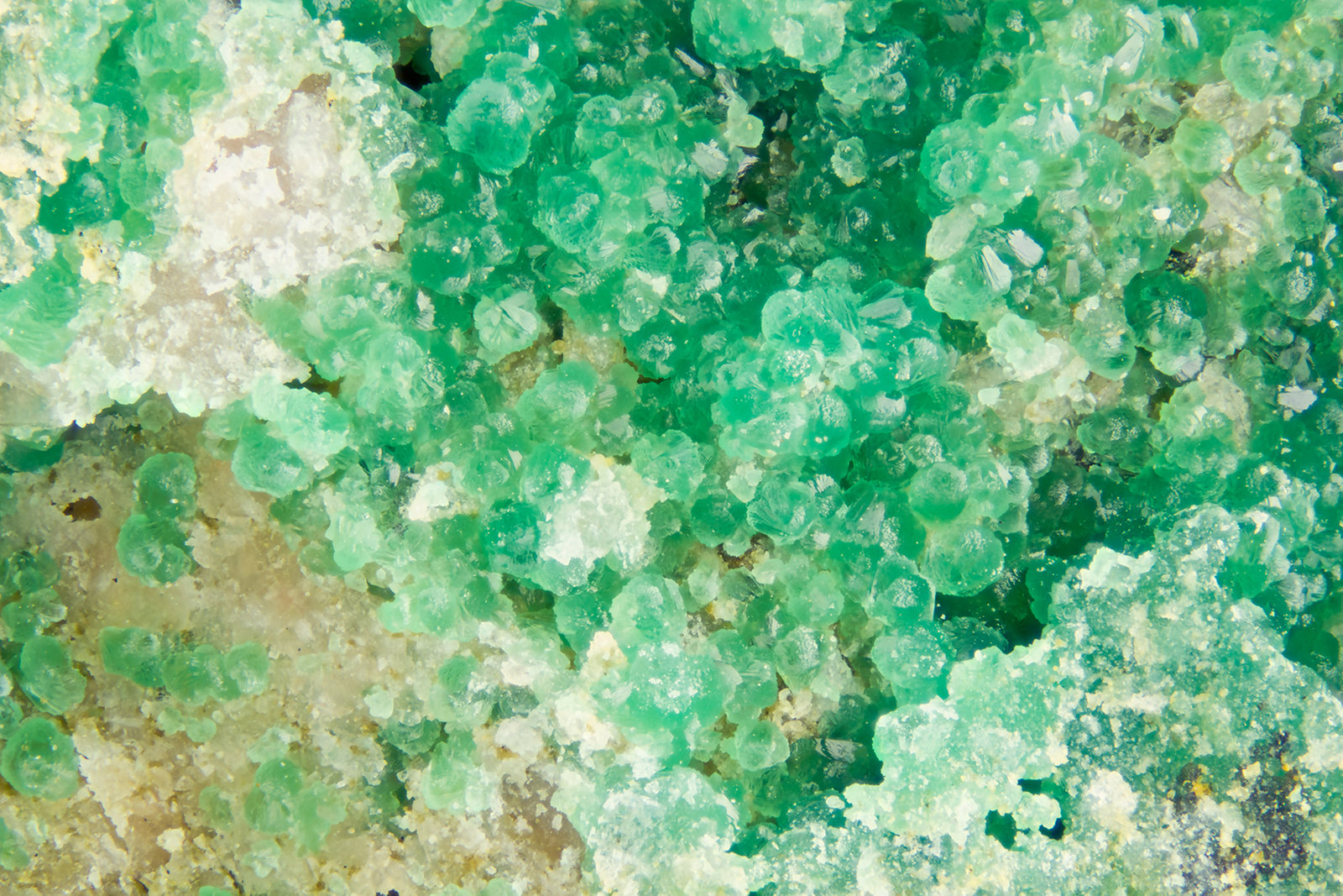 Chalcosiderite
FOV = 4.0 mm
(Autor: Doug)
