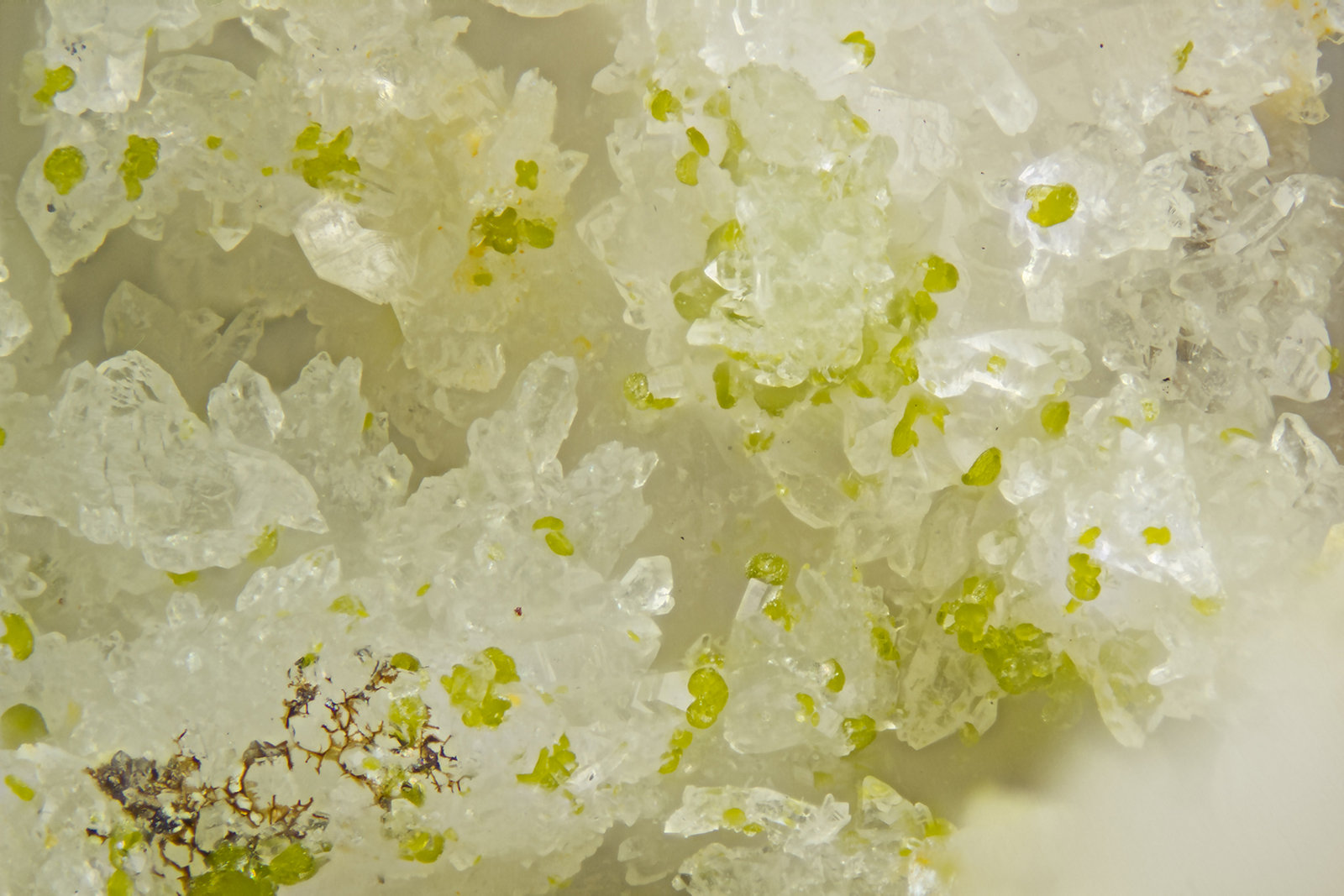 Hinsdalite
FOV = 2.0 mm
(Autor: Doug)