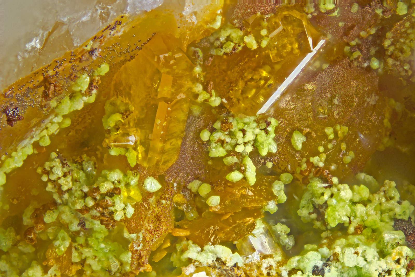 Osarizawaite, Wulfenite
FOV = 2.0 mm
(Autor: Doug)