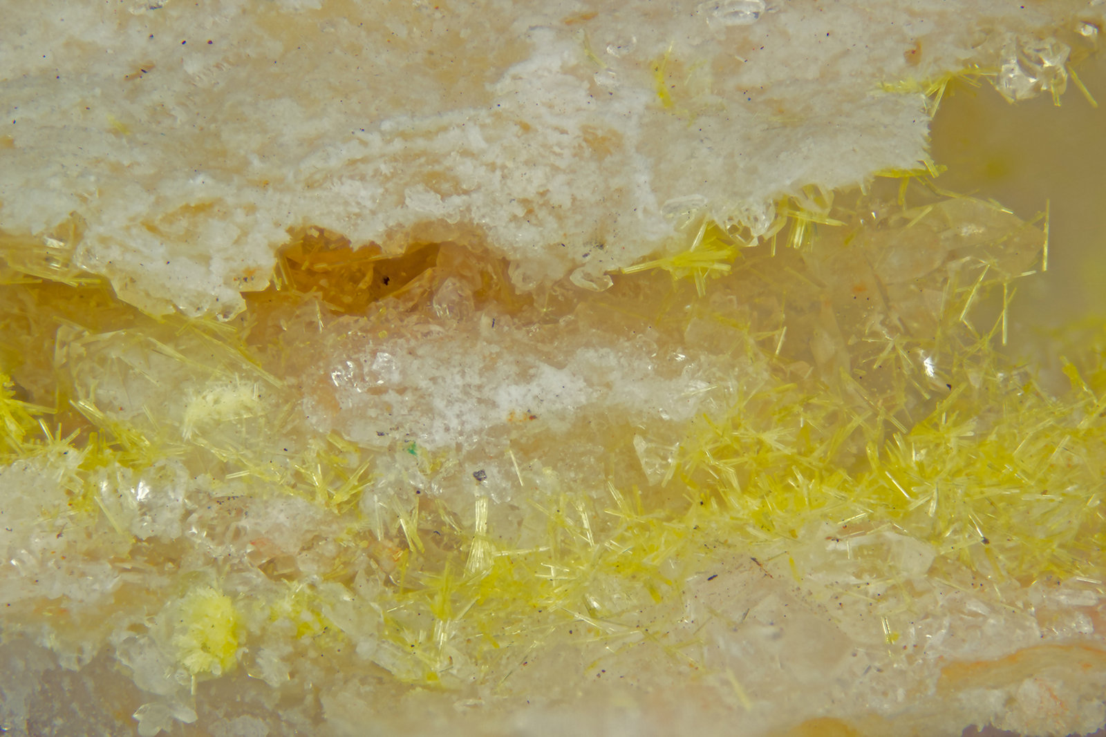 Boltwoodite
FOV = 4.0 mm
(Autor: Doug)