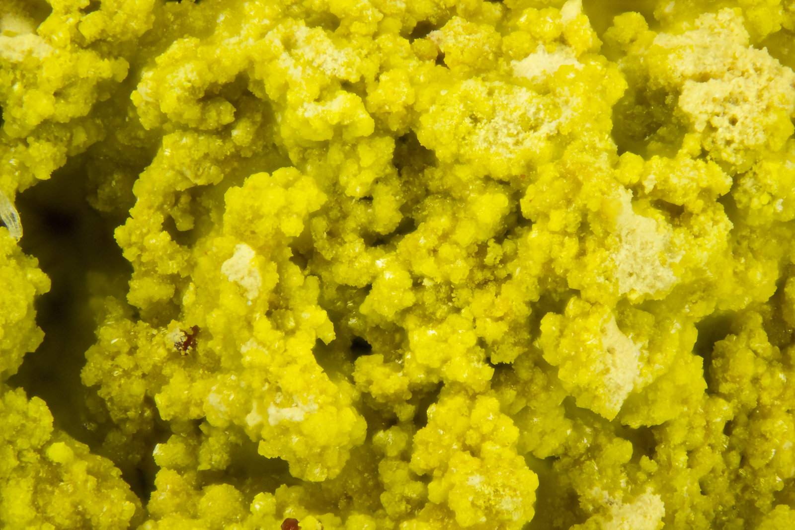 Gartrellite
FOV = 2.0 mm
(Autor: Doug)