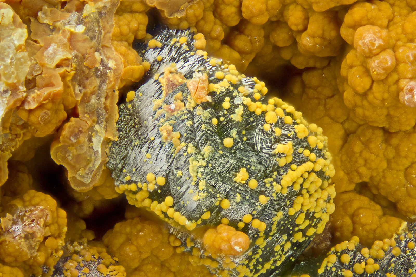 Arseniosiderite, Olivenite
FOV = 2.0
(Autor: Doug)