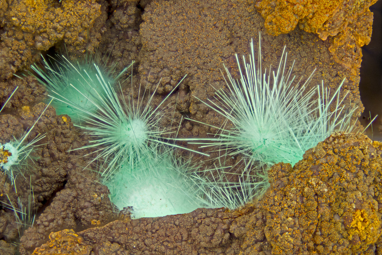 Agardite-(Y)
FOV = 4.0 mm
(Autor: Doug)