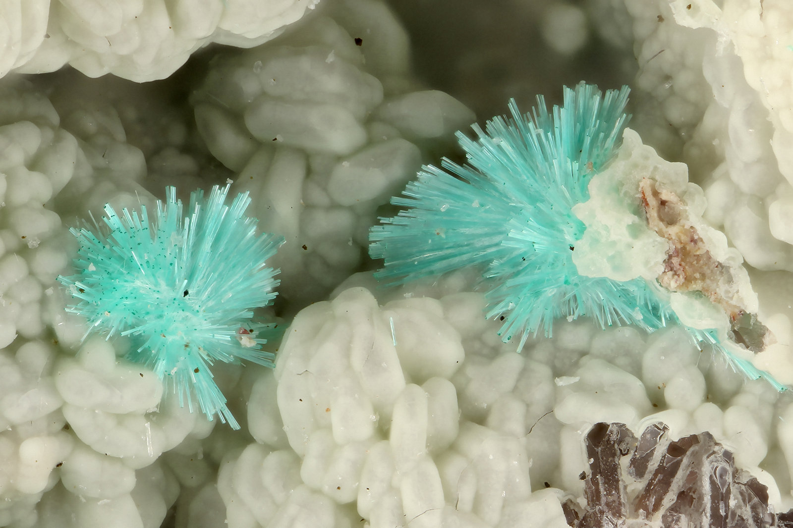 Agardite-(Y)
FOV = 2.0 mm
(Autor: Doug)