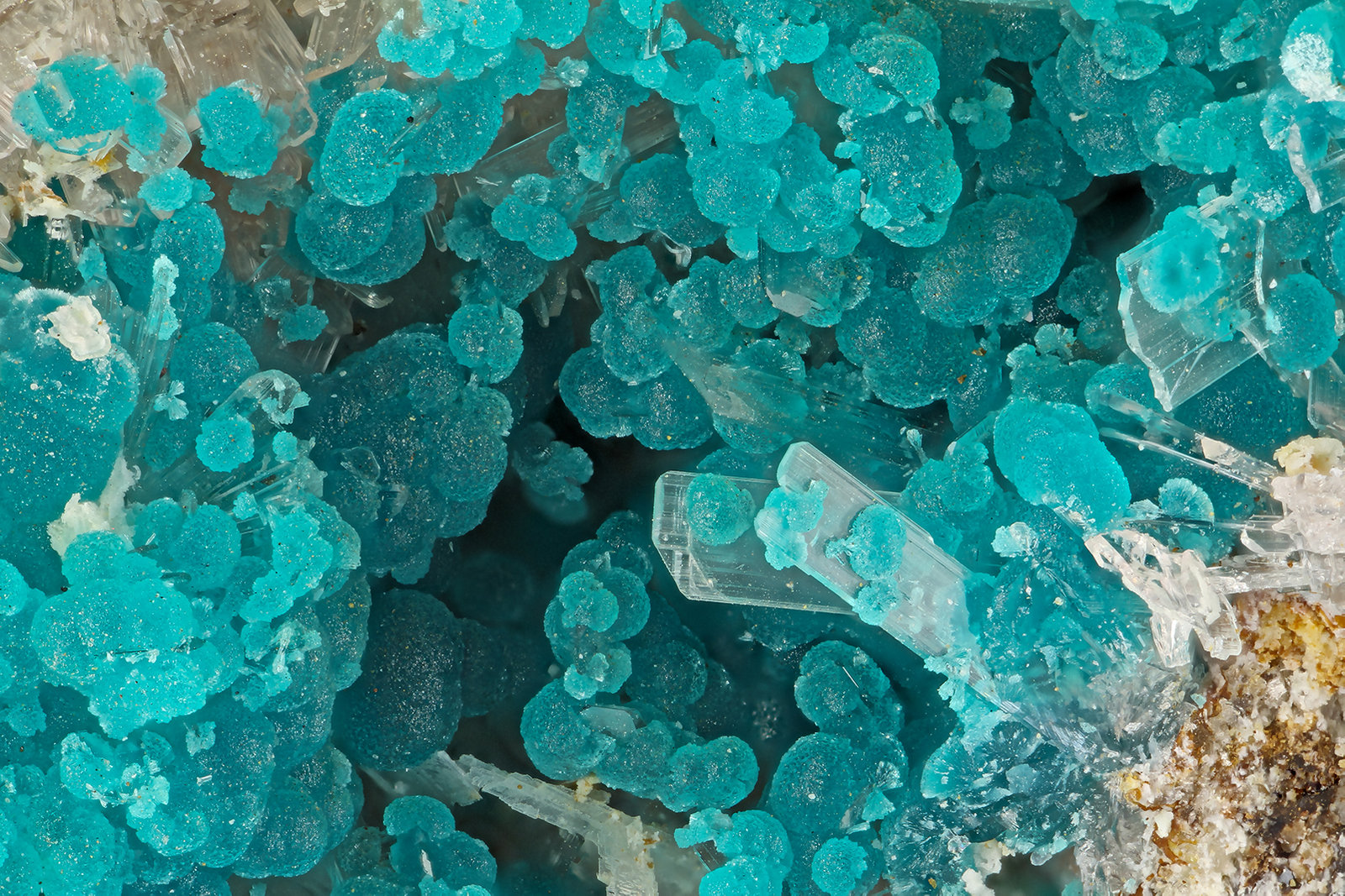Rosasite, Hemimorphite
FOV = 4.0 mm
(Autor: Doug)