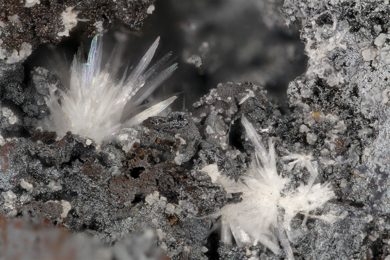 Hydrozincite
FOV = 3.9 mm
(Autor: Doug)
