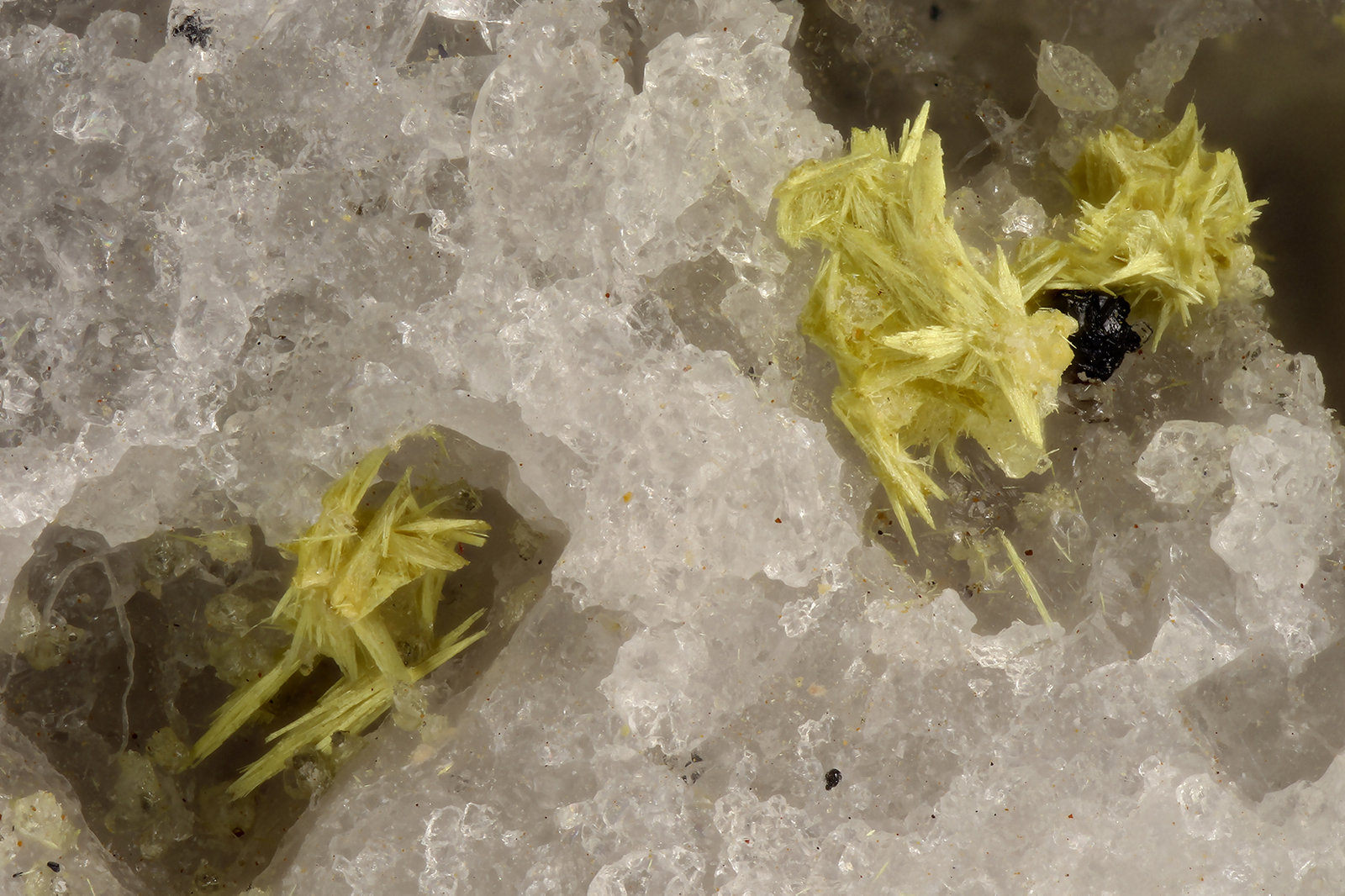 Ferrimolybdite
FOV = 2.7 mm
(Autor: Doug)