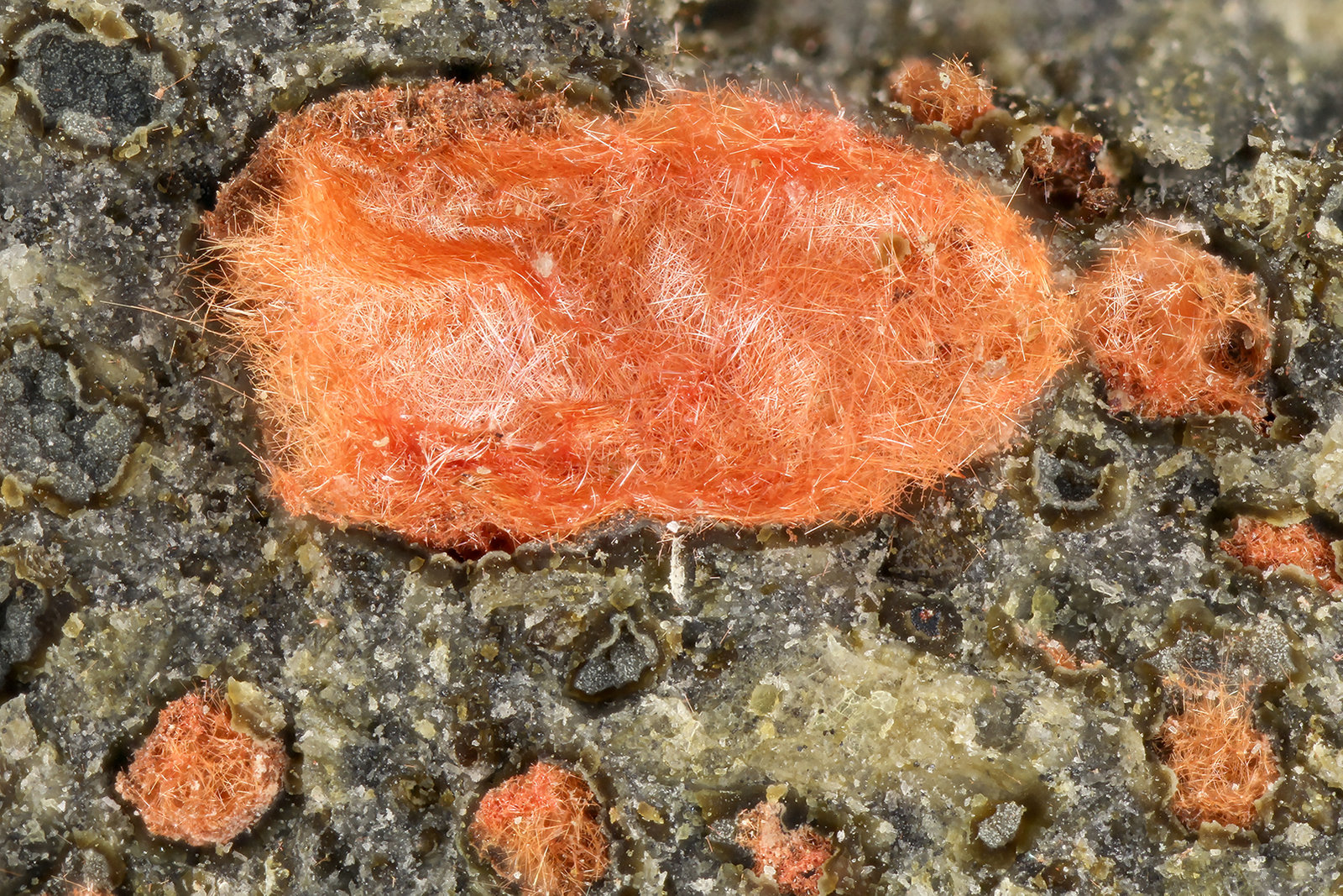 Cuprite
FOV = 3.2 mm
(Autor: Doug)
