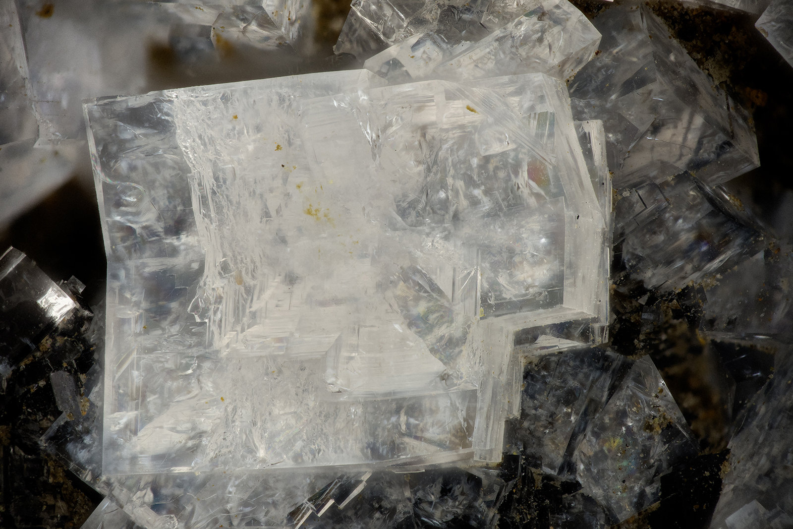 'Chabazite' on 'Heulandite'
FOV = 3.7 mm
(Autor: Doug)