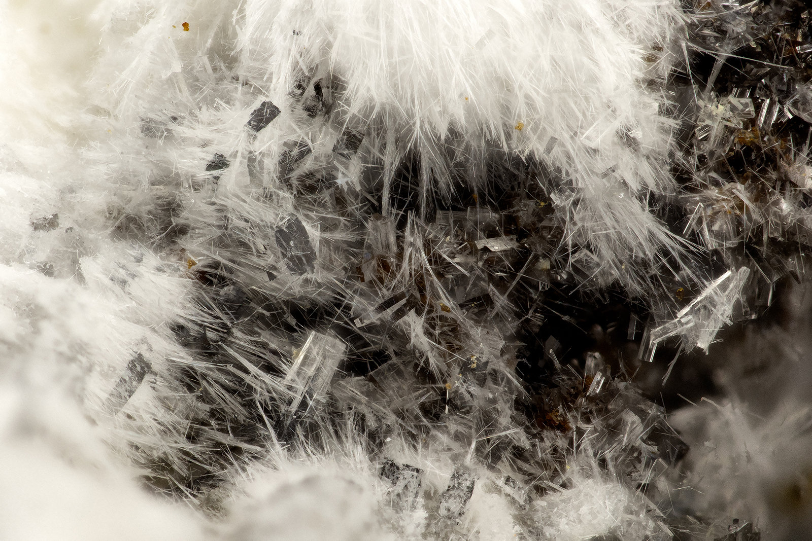 'Stilbite' on Mordenite
FOV = 2.8 mm
(Autor: Doug)