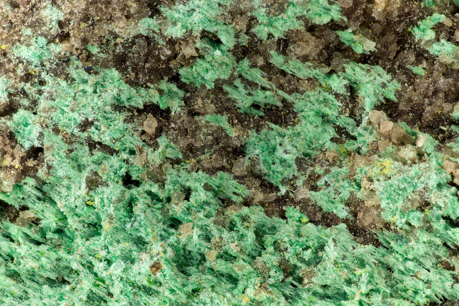 Malachite
FOV = 3.6 mm
(Autor: Doug)
