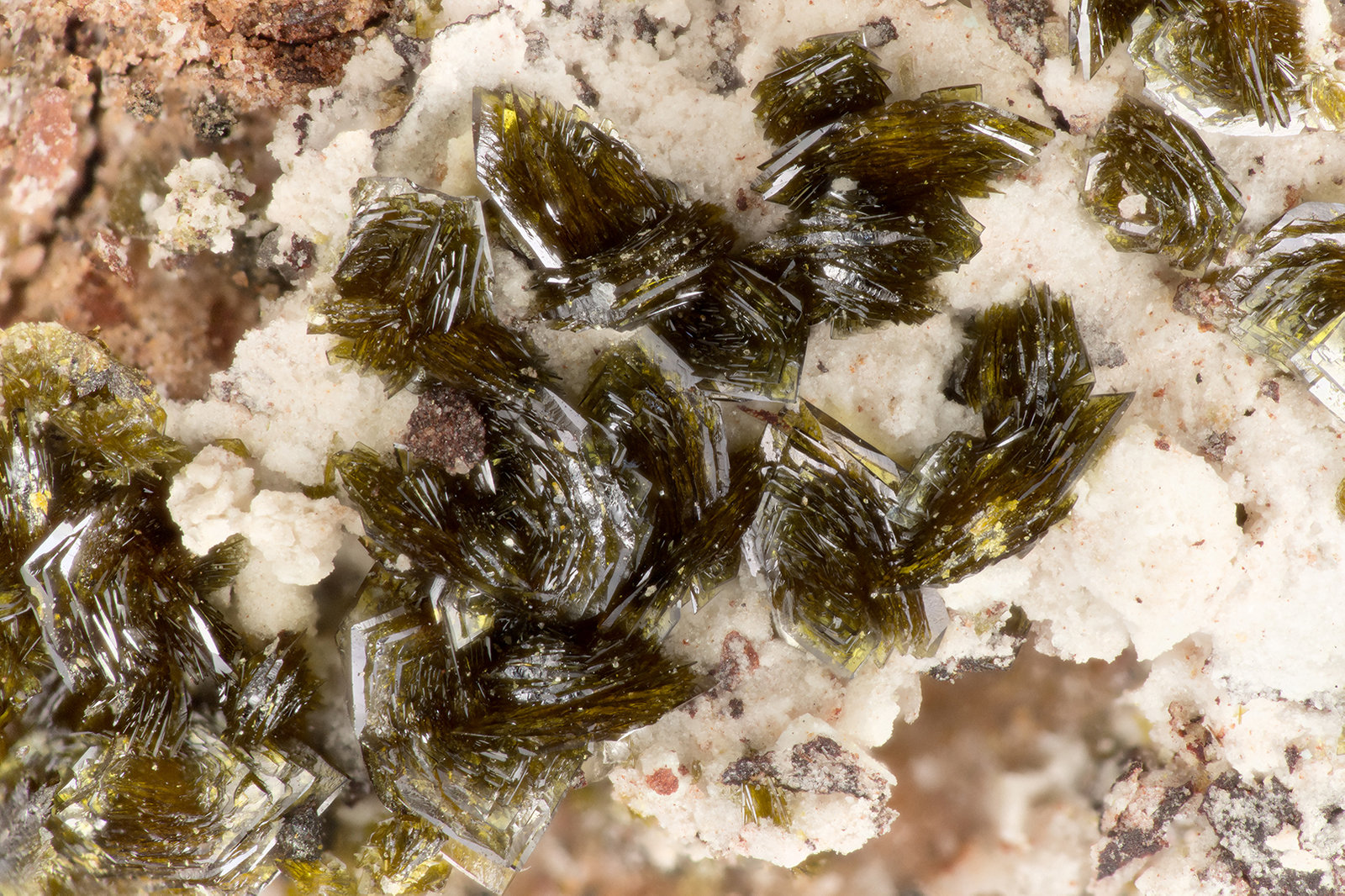 Mottramite
FOV = 3.4 mm
(Autor: Doug)
