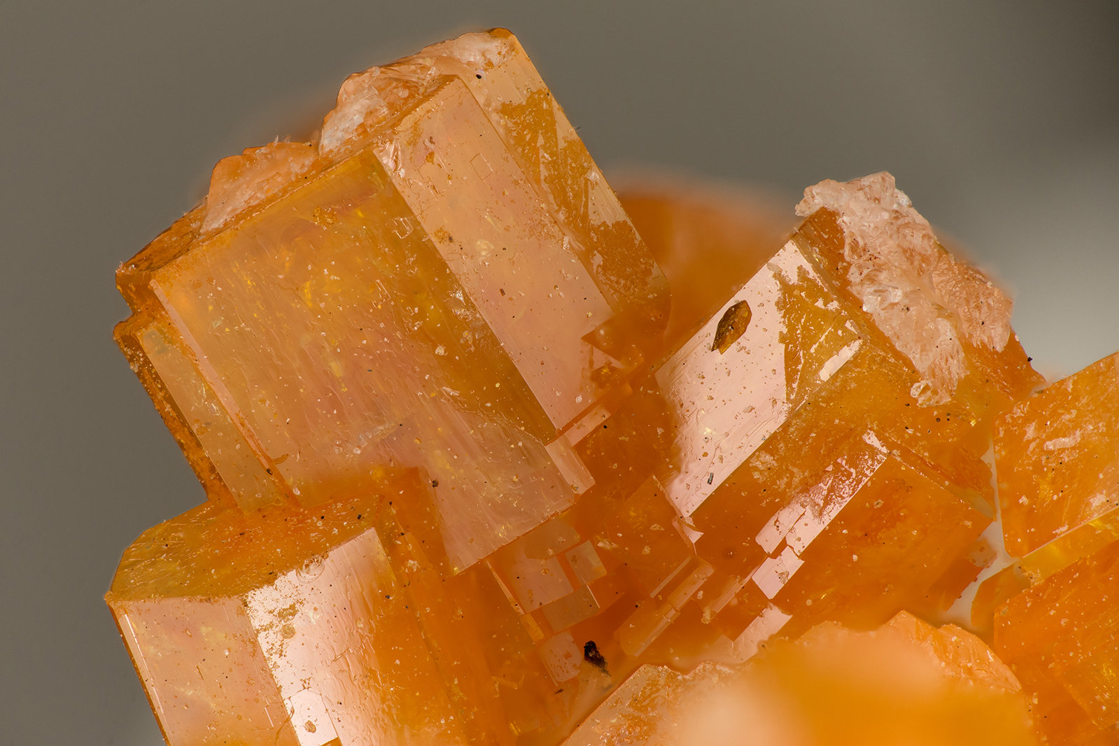 Vanadinite
FOV = 3.5 mm
(Autor: Doug)