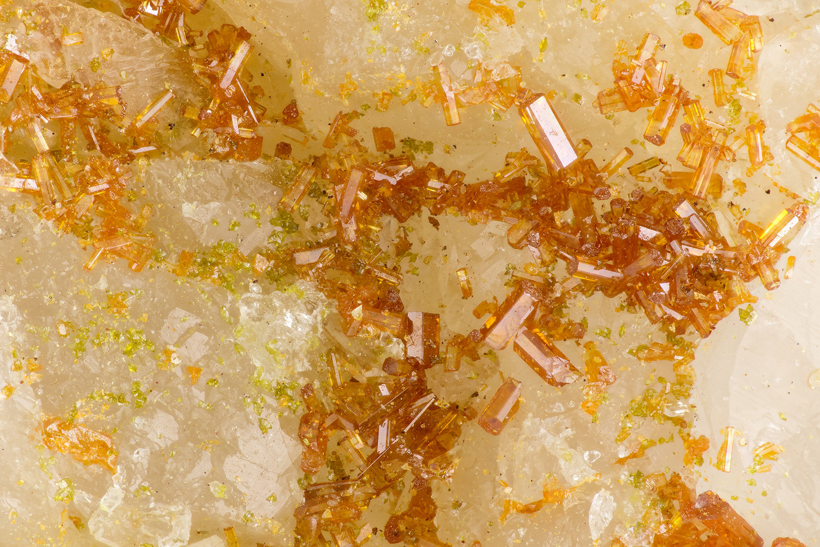 Vanadinite, Mottramite
FOV = 3.1 mm
(Autor: Doug)