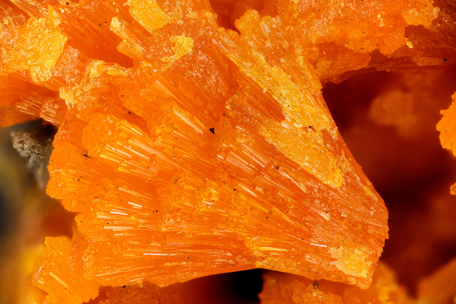 Mimetite
FOV = 3.5 mm
(Autor: Doug)